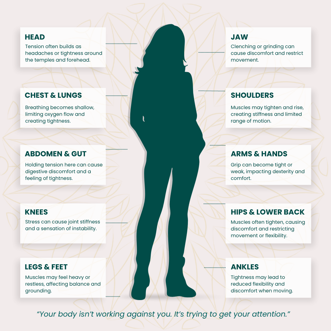 Stress Awareness Month: A Gentle Reminder to Check In With Yourself
