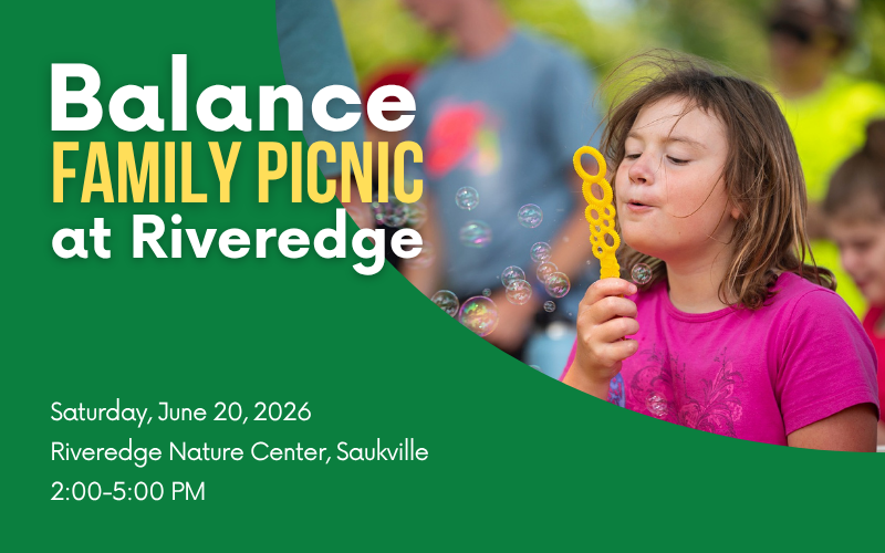 Balance Family Picnic
