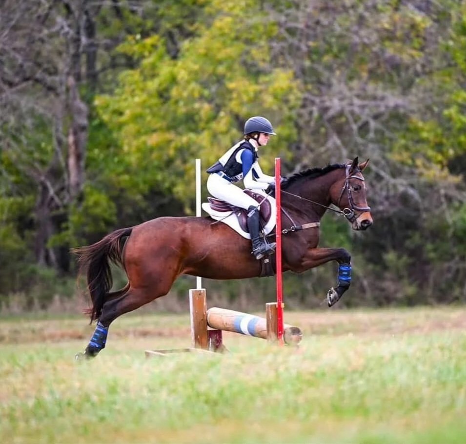 Windermere October 2025: Sophia Lieberman & Tazmanian Pegasus, 29.0 Novice Rider