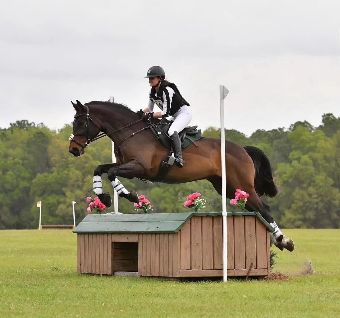 Fox River Valley Pony Club June 2025: Jordan Scroggins & C25's Bugatti, 25.6 Training Rider