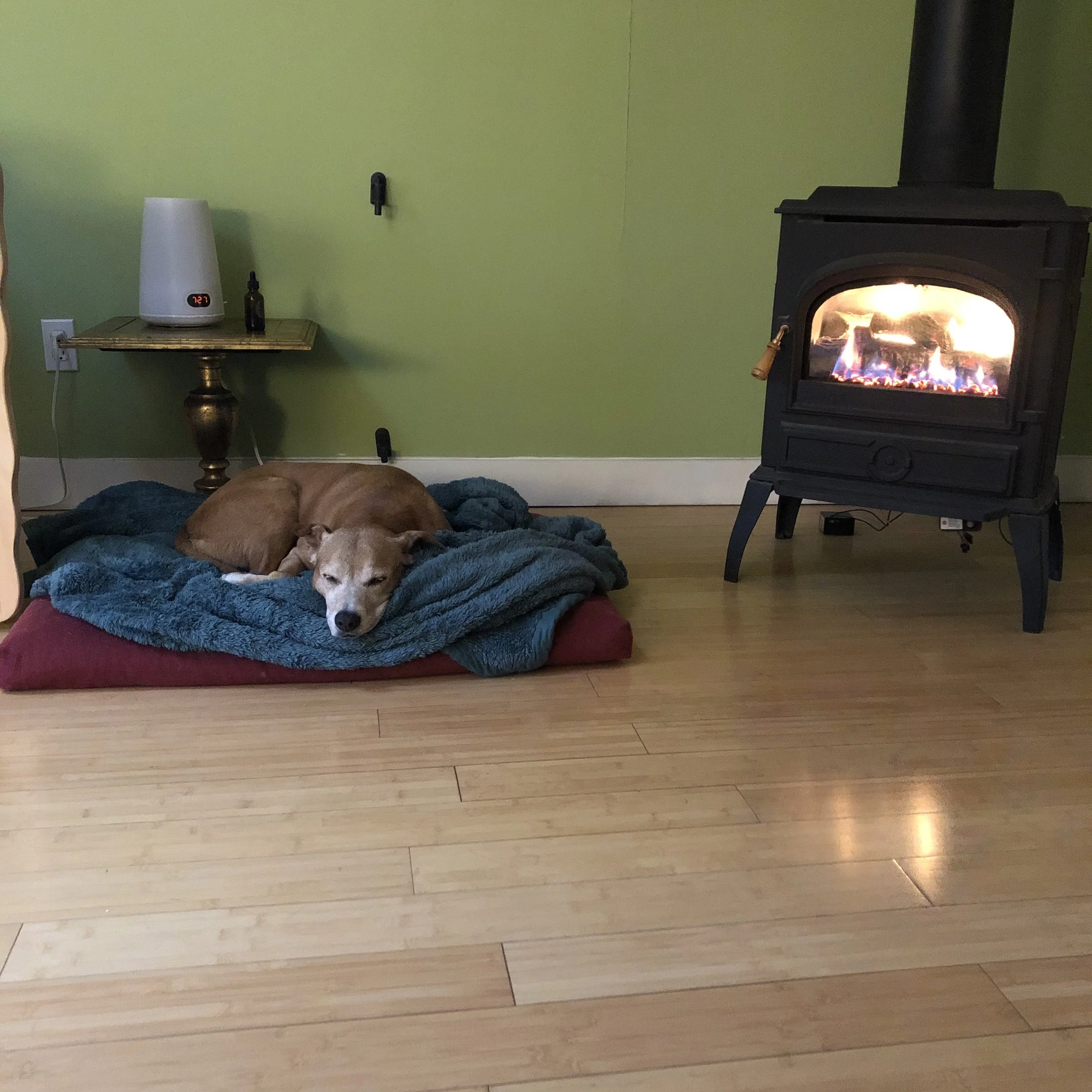 IMG_1761.jpeg