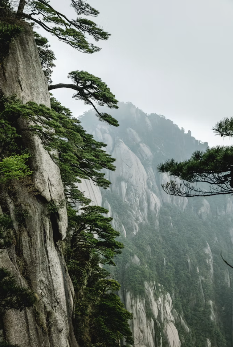 The Painter’s China