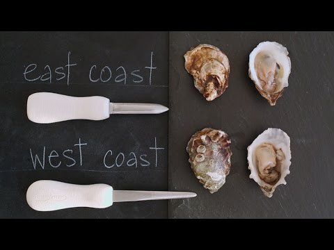 Shucking Oysters