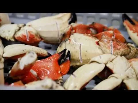 How To Crack Jonah Crab Claws