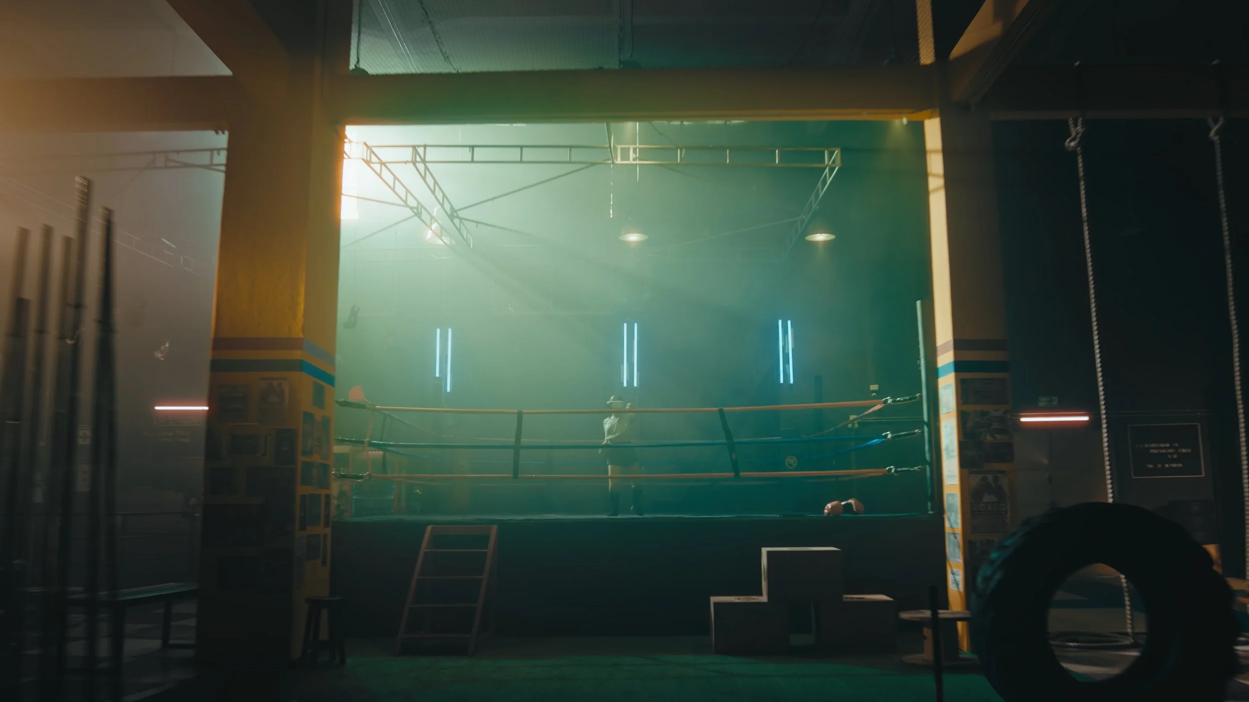 PONY MALTA_1.46.4.jpg