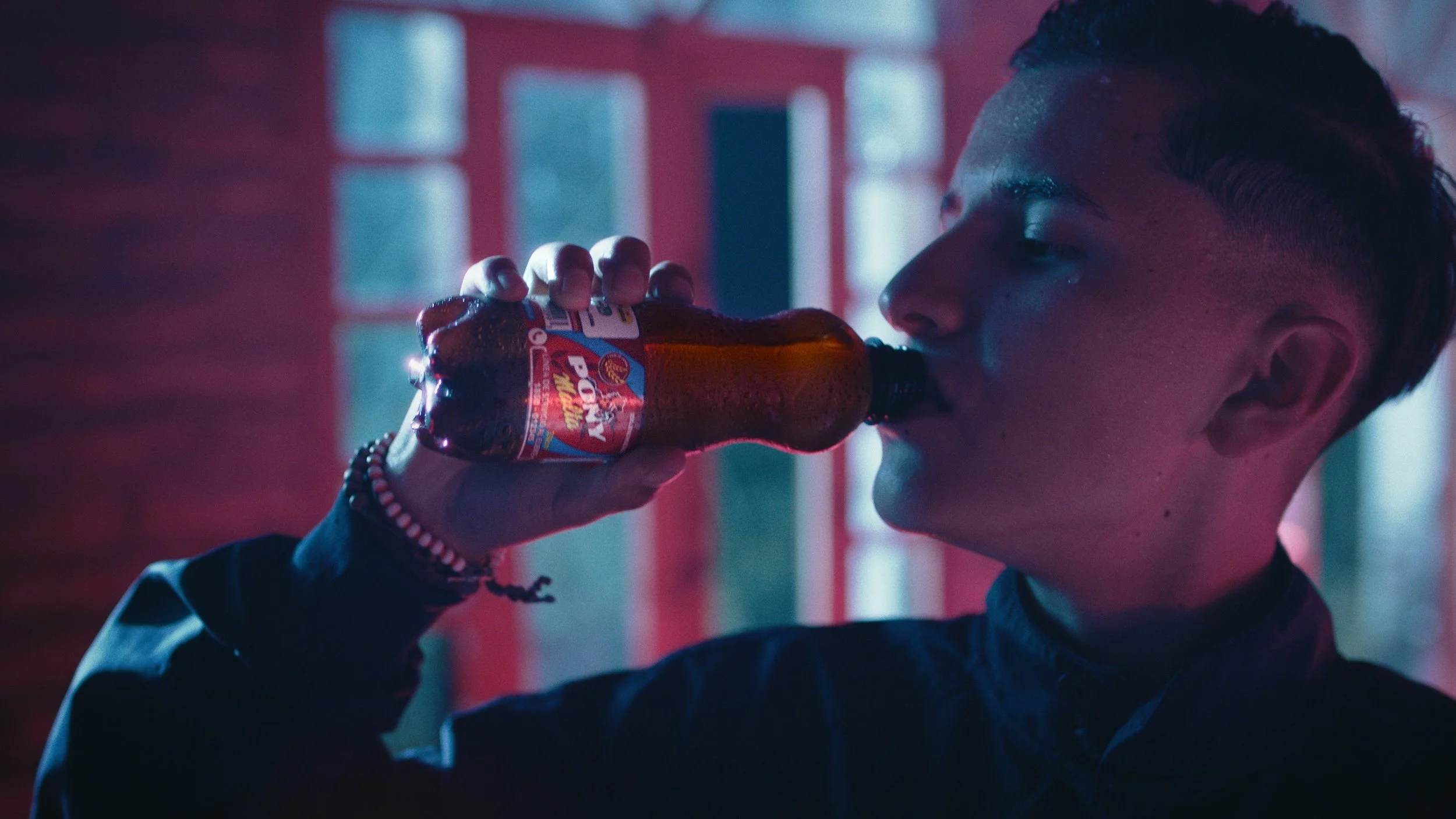 PONY MALTA_1.46.10.jpg