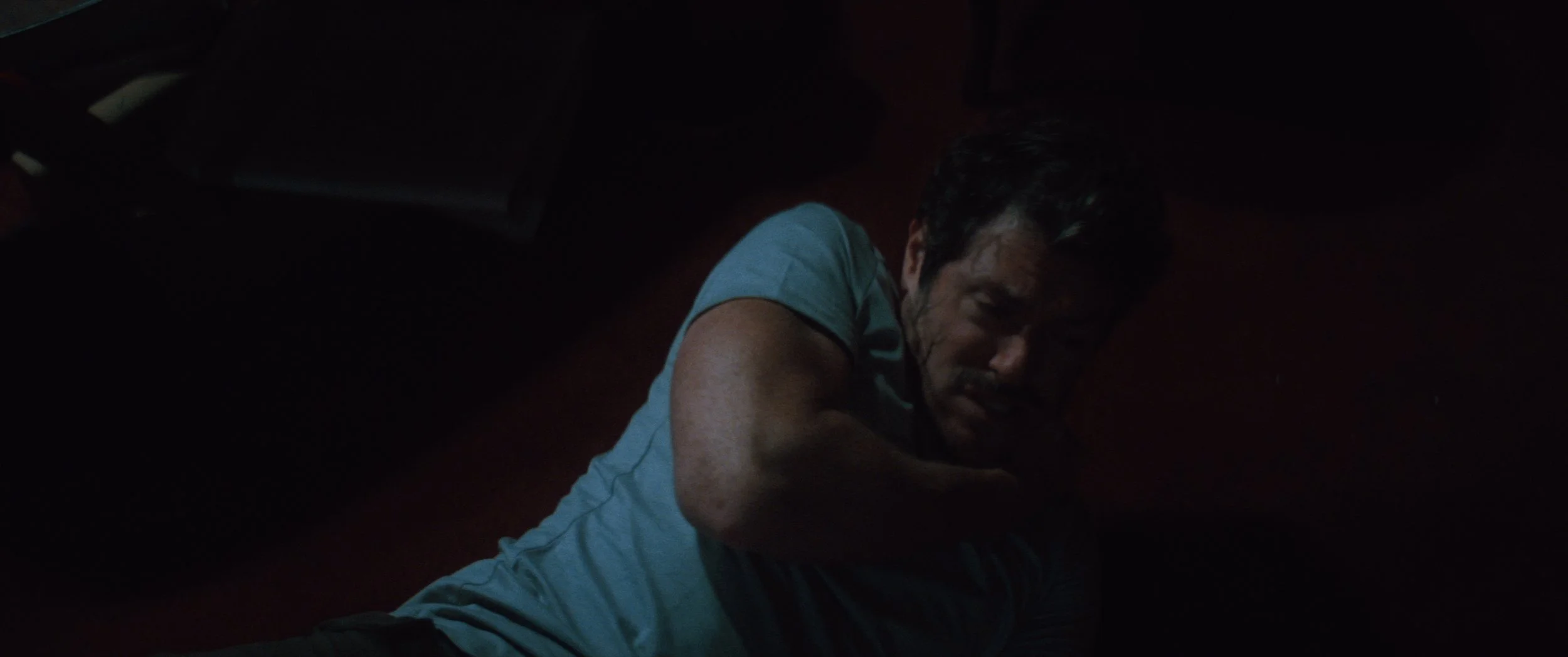 SHELTER IN PLACE_1.5.78.jpg