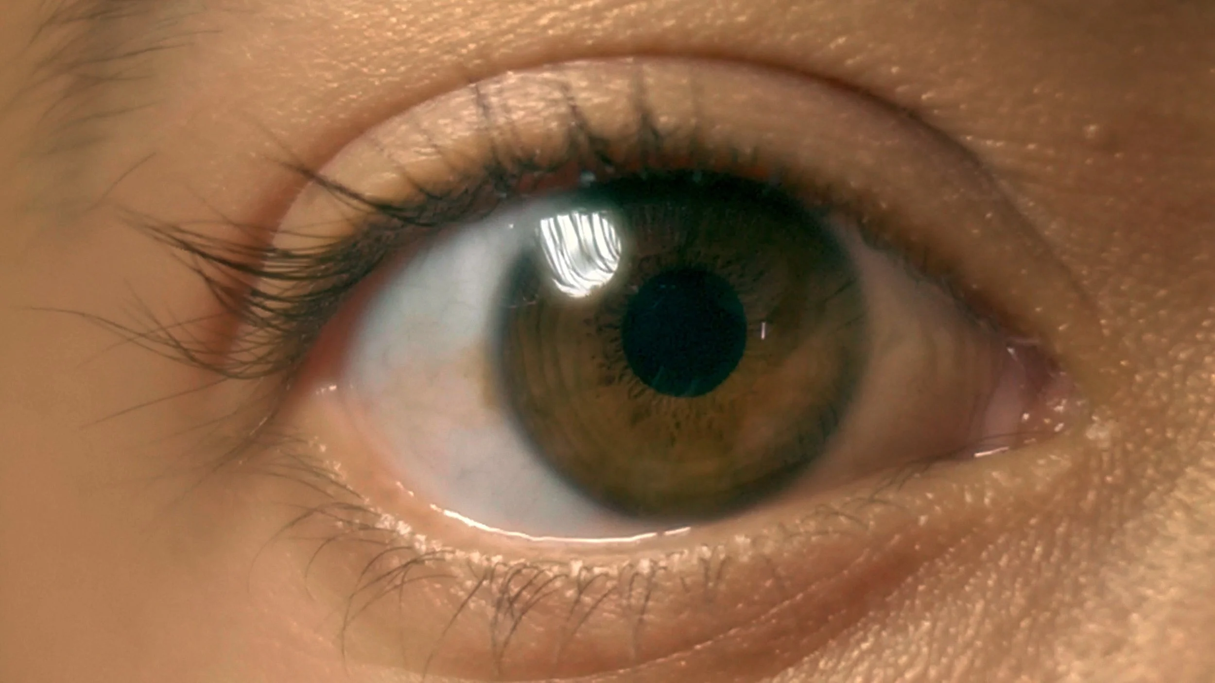 MIEL_1.20.1.jpg