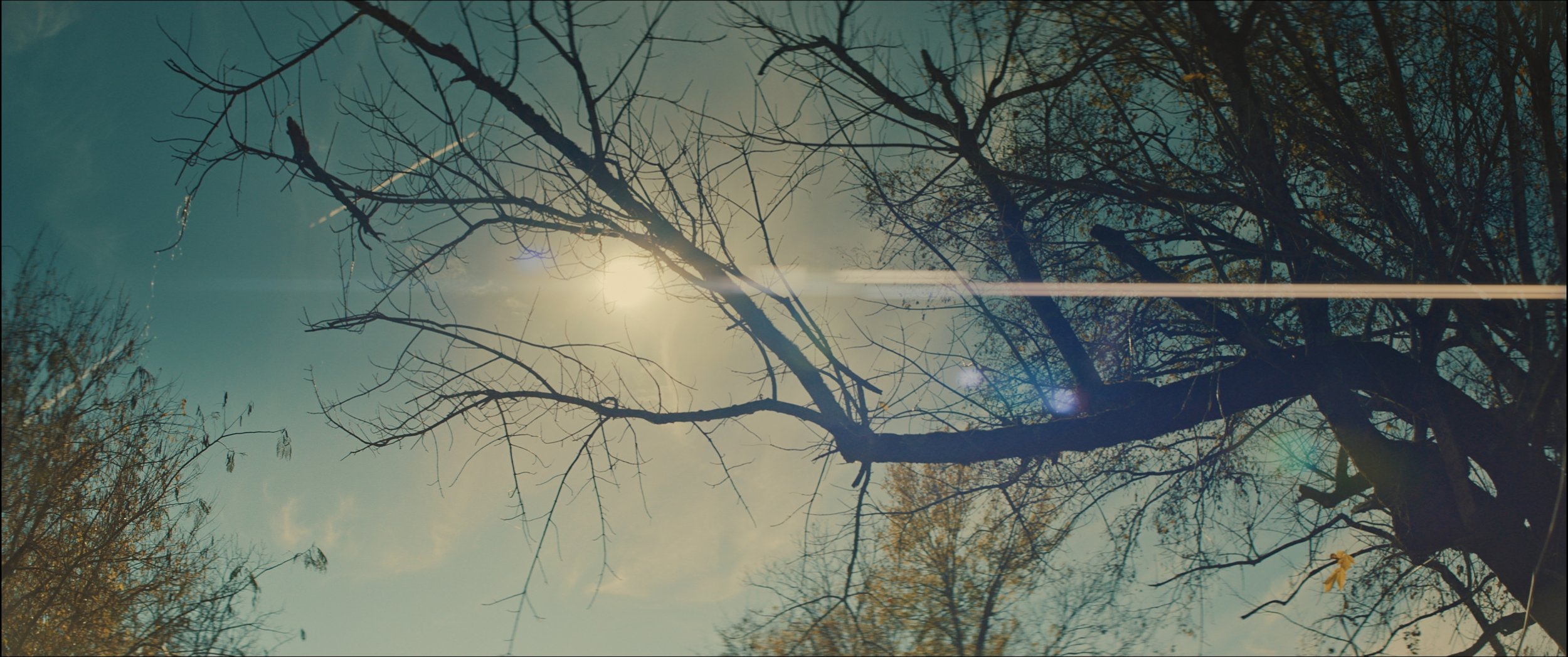 BOUNTIFUL_1.25.1.jpg