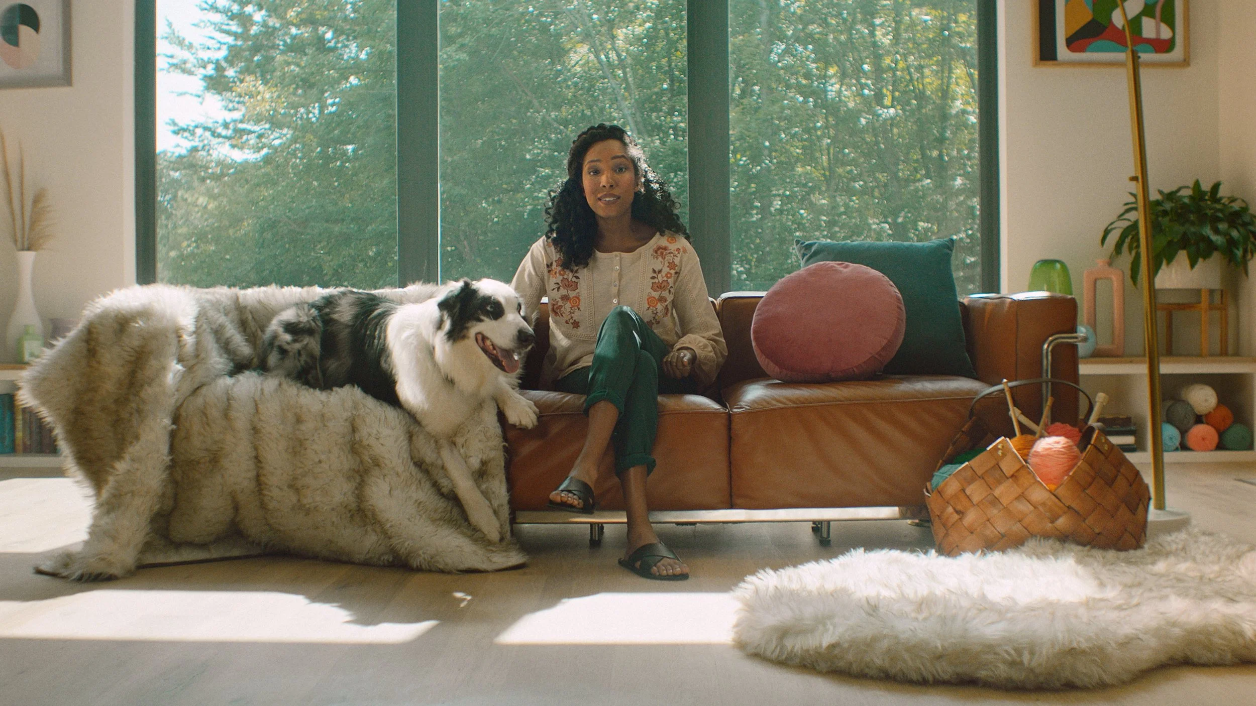 PAW.COM30s_1.1.17.jpg