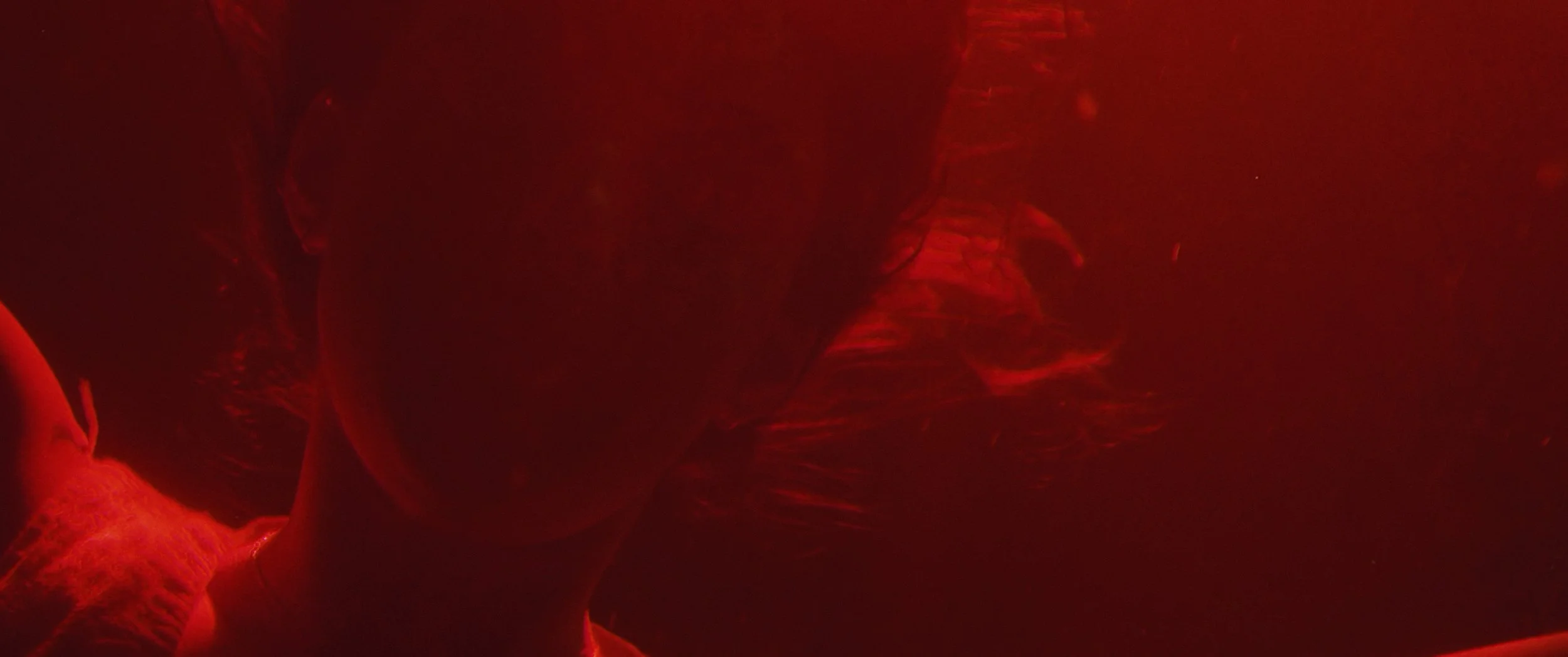 SHELTER IN PLACE_1.5.48.jpg