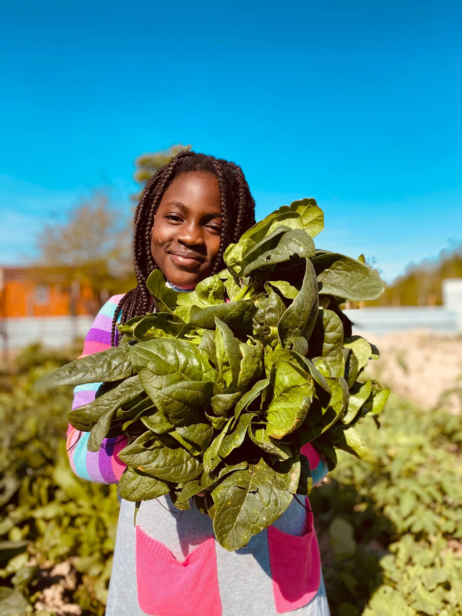 C541D0B7-104F-4DA2-A947-403938E80971