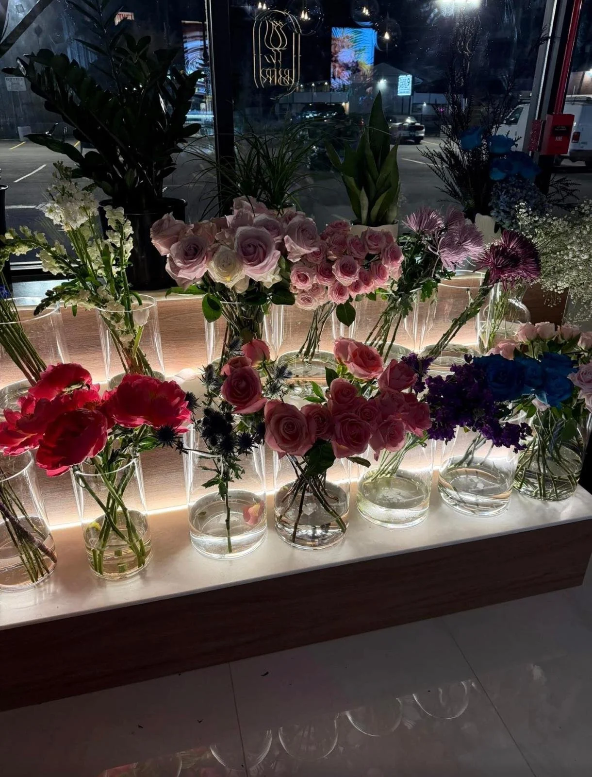 WhatsApp Image 2026-03-08 at 1.09.52 PM.jpeg