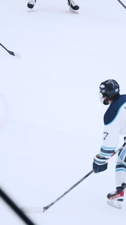 Maine hockey goal.gif