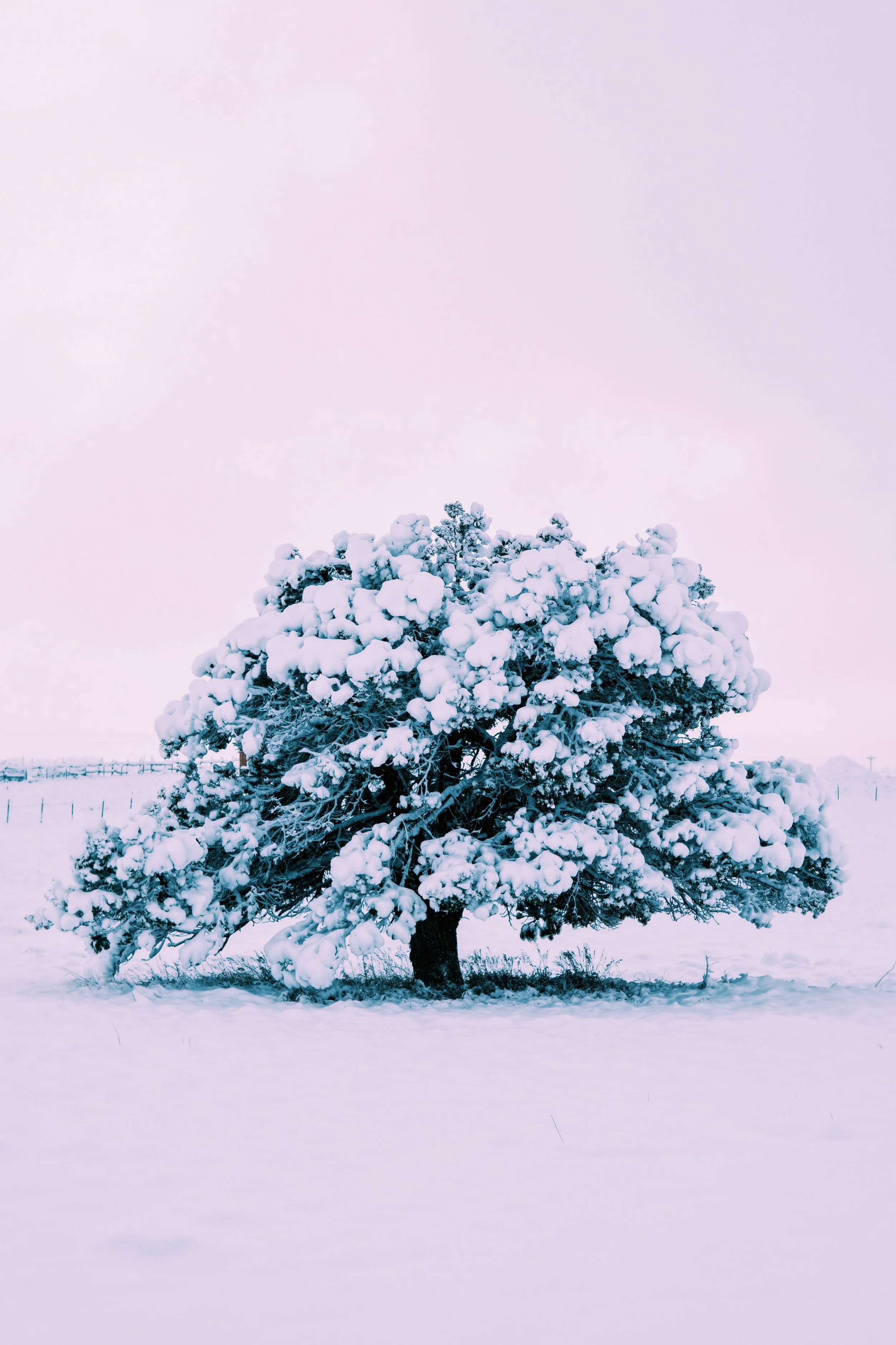 73F302FE-BF97-4A7E-993E-8B986F86A2A4.JPG