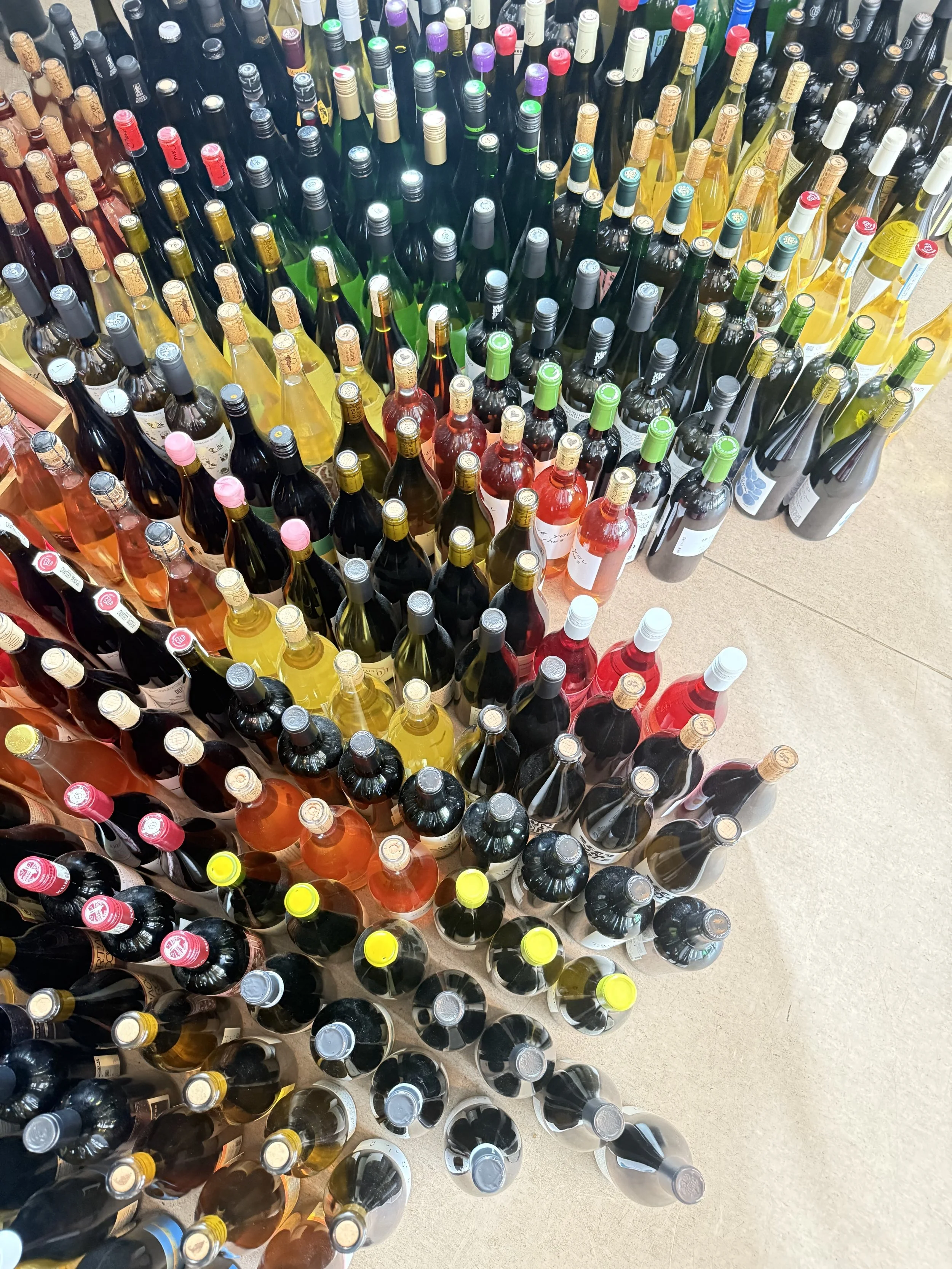 Natural wine bottles lined up