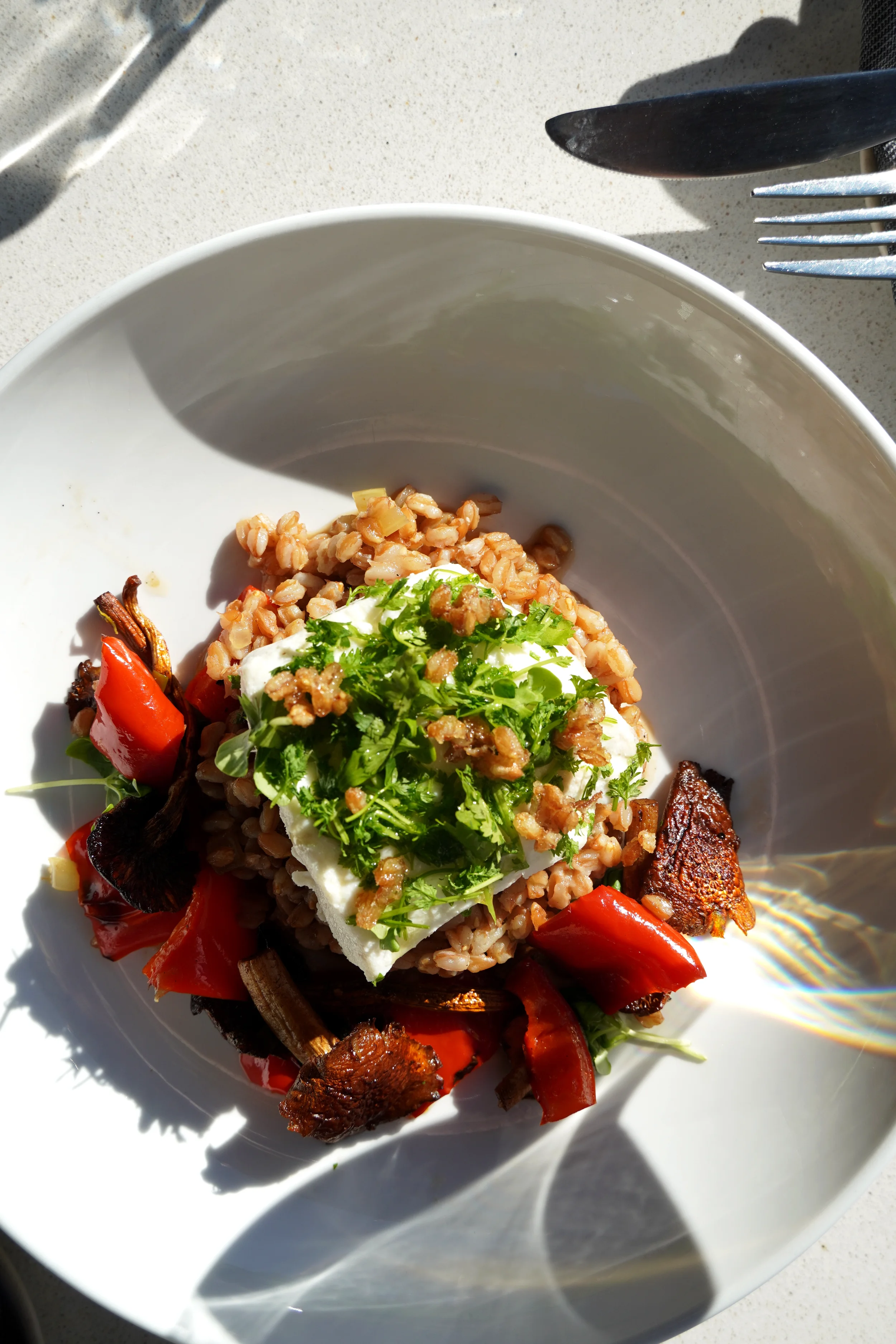 Pan-seared halibut served with farro, seasonal vegetables, and fresh herbs at Cork Restaurant in Stowe, Vermont, highlighting thoughtful farm-to-table cooking and balance.