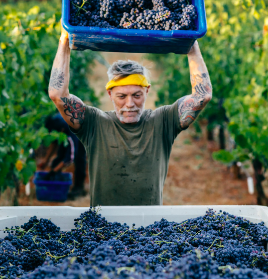 Wine Club What’s your love language? — Cork Natural Wine Shop & Restaurant