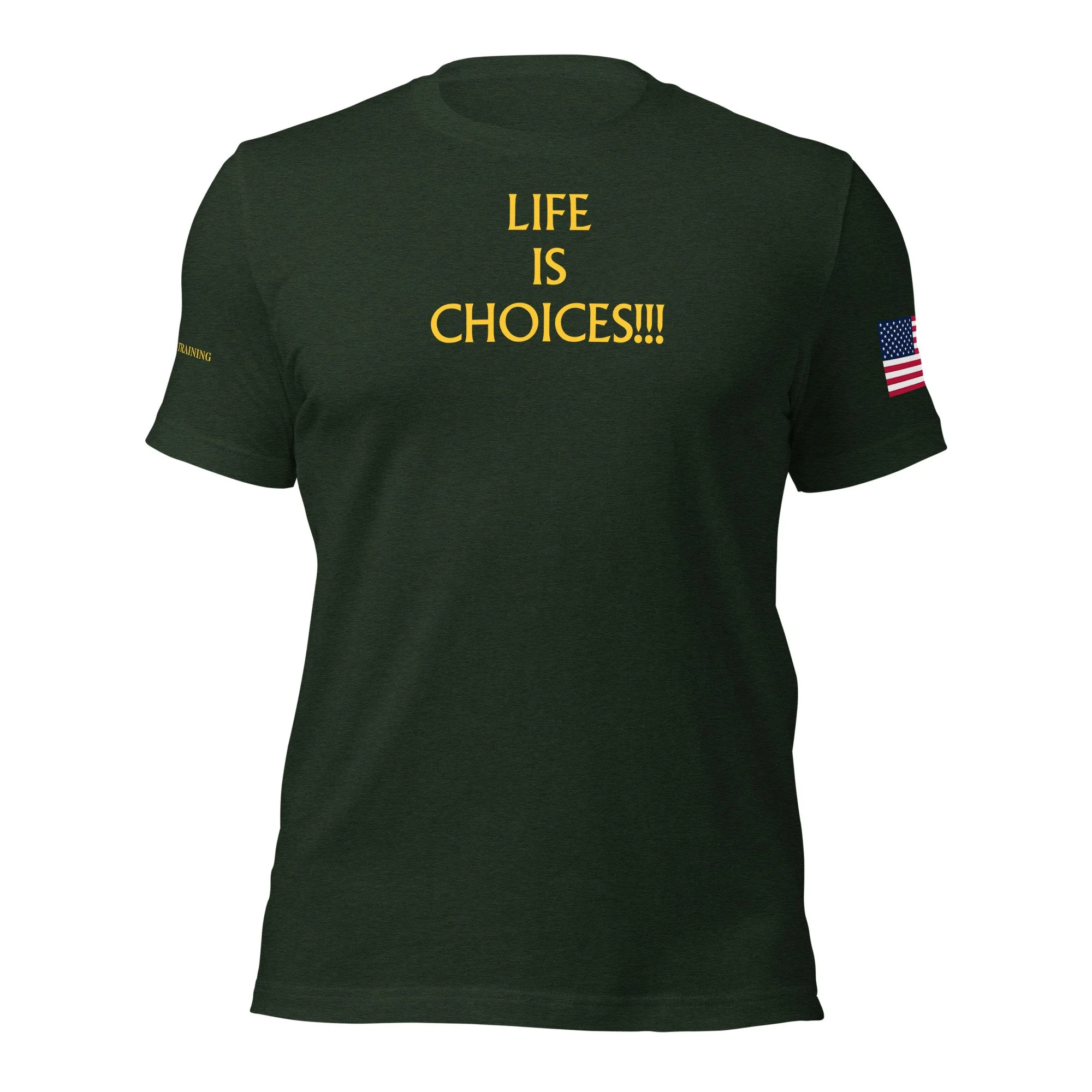 unisex-staple-t-shirt-heather-emerald-front-68b08f7ea4eb0.jpg
