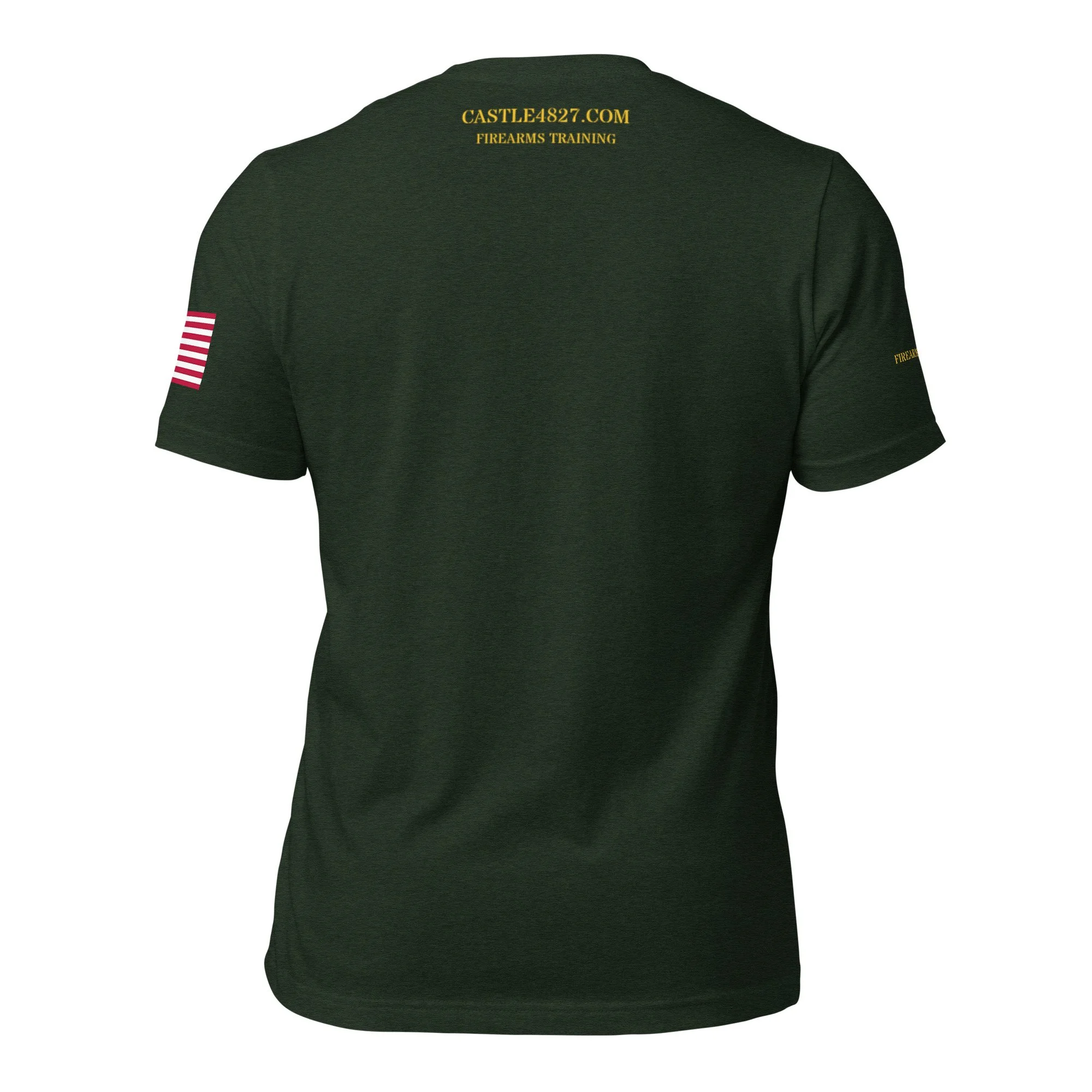 unisex-staple-t-shirt-heather-emerald-back-68b08f7ea855f.jpg