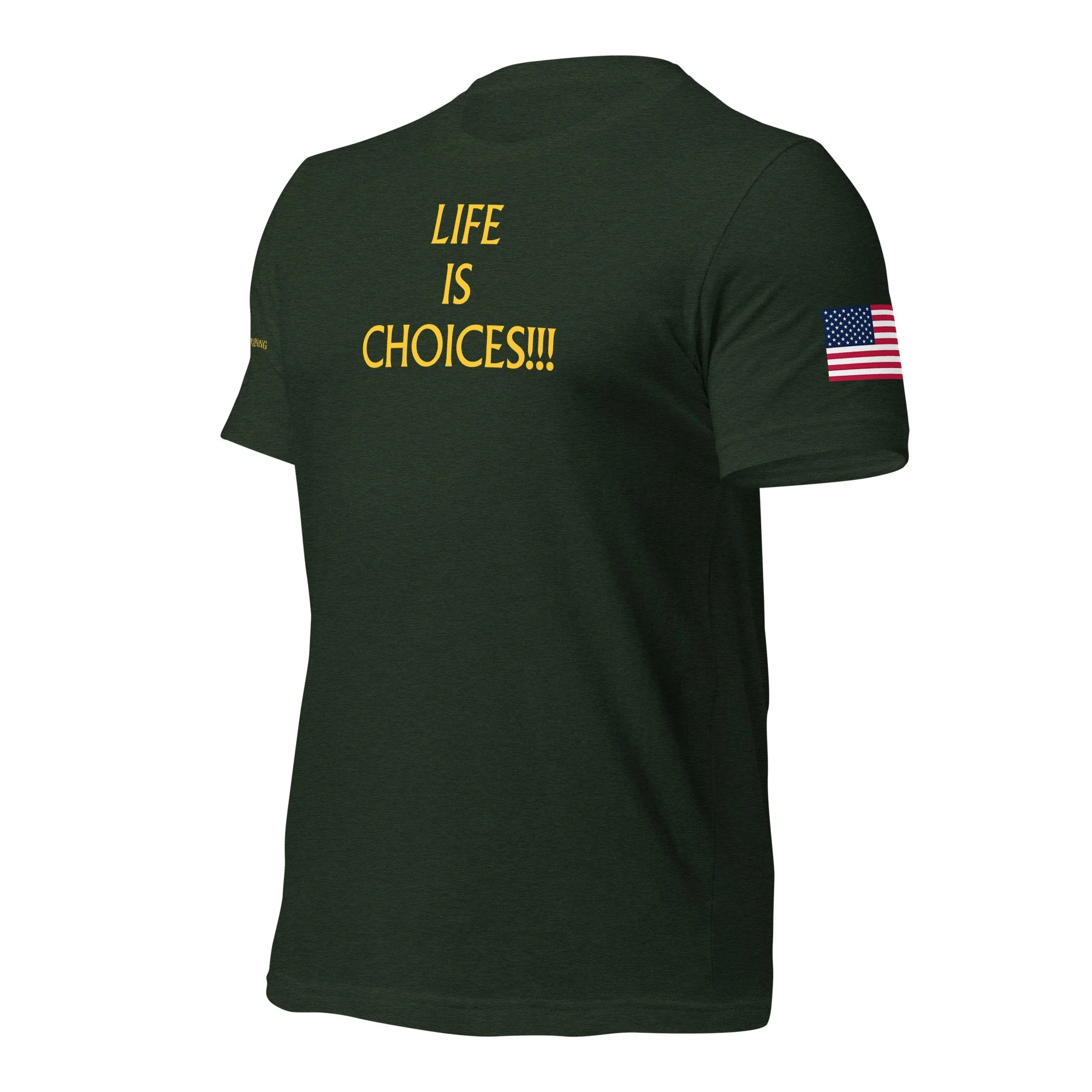 unisex-staple-t-shirt-heather-emerald-left-front-68b08f7eac1db.jpg