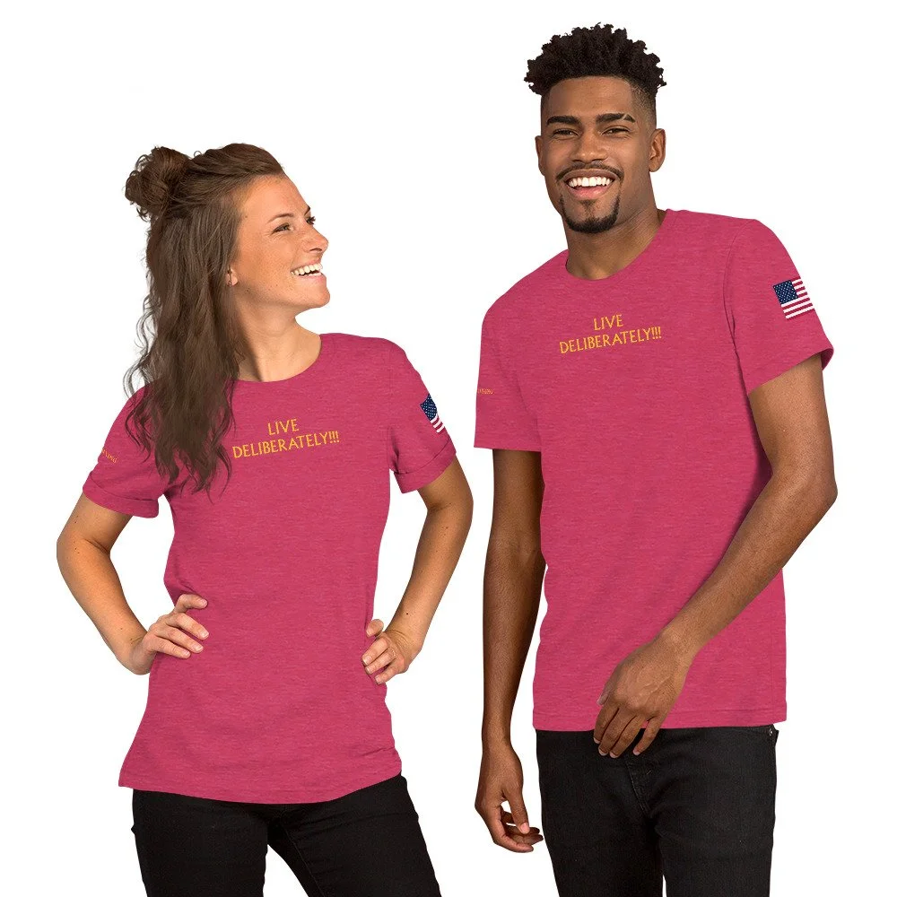 unisex-staple-t-shirt-heather-raspberry-front-68b09023da3d0.jpg