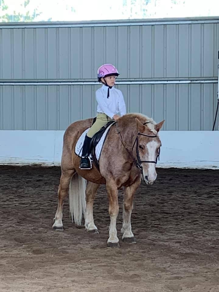 Boulder County Hunter Jumper Schooling Show — Triple Creek Ranch