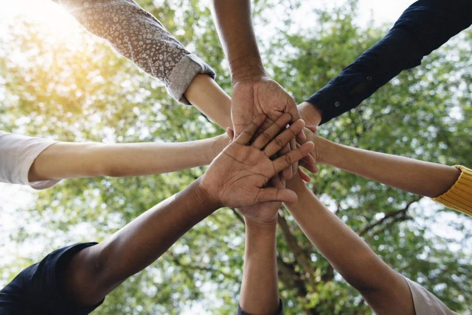 Holistic, community-based disability support in Connecticut – promoting emotional resilience, cognitive recovery, and social connection