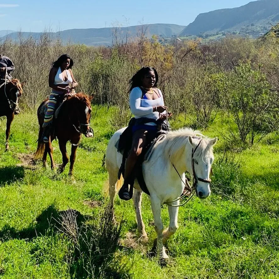 Ready to #getoutside ? 🐴🇲🇽🤠 

#horsesbyjose #horsebackriding #horseriding #horseridingholidays #horsebackadventures #playalamision #ensenada #livethedream #escapetheordinary