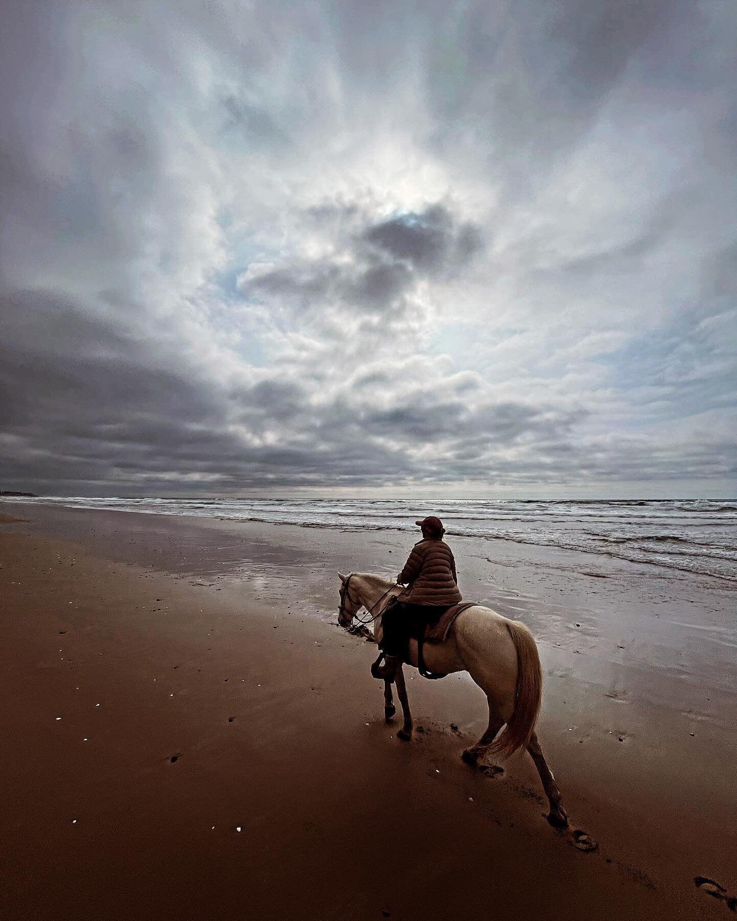 Find connection to what is ~ horseback riding like you&rsquo;ve always dreamed it could be 🐴🇲🇽🤠

#horsesbyjose #horsebackriding #horseriding #ensenada #playalamision #bajacaliforniamexico #escapetheordinary #livethedream #connection #rewildyourli