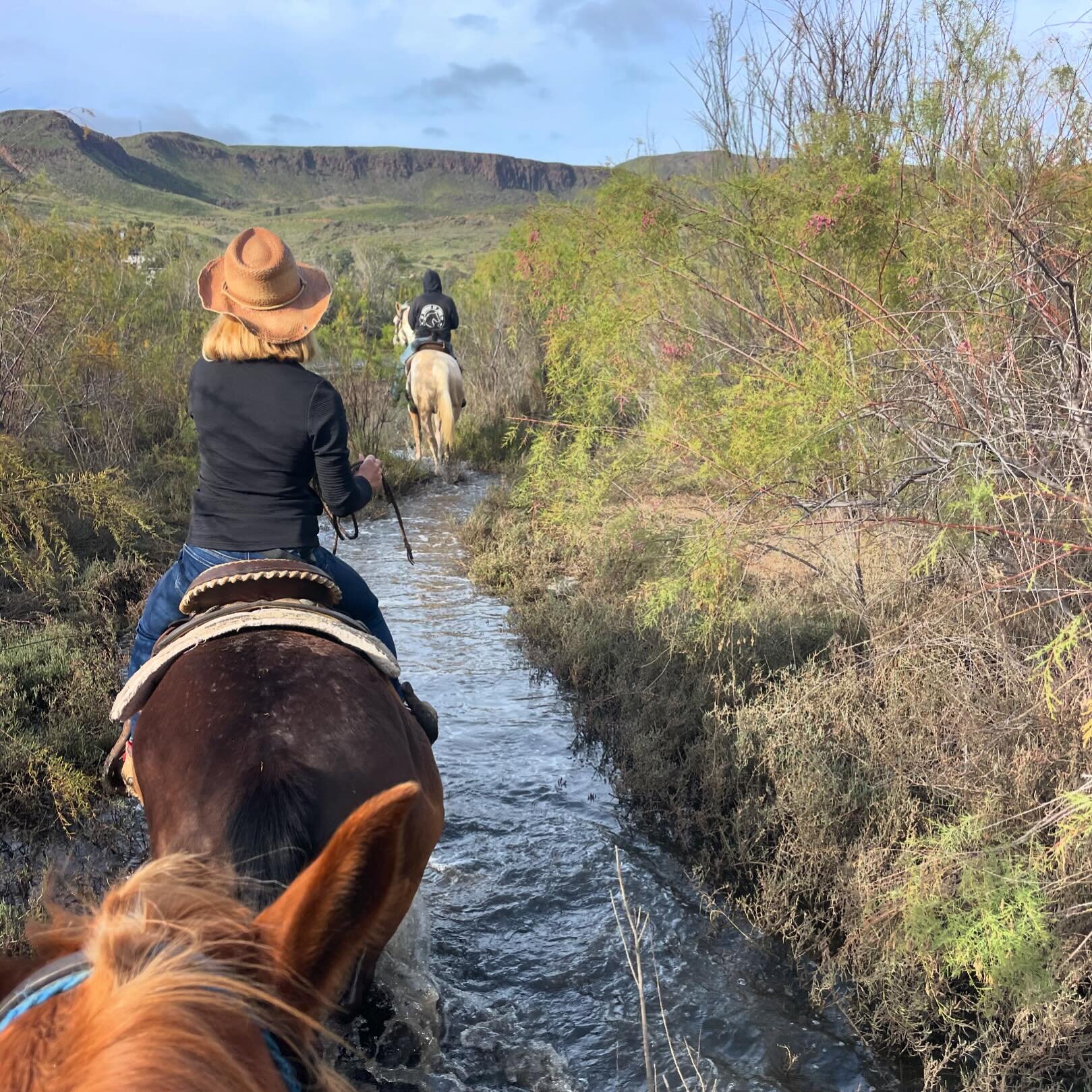 Hola amigos! Still need to make some plans for #springbreak ? Why not come to Baja and come riding with us? Fun for the whole family! 🤠🇲🇽🐴

#horsesbyjose #bajacaliforniamexico #ensenada #getoutside #horseriding #horsebackadventures #horsebackridi
