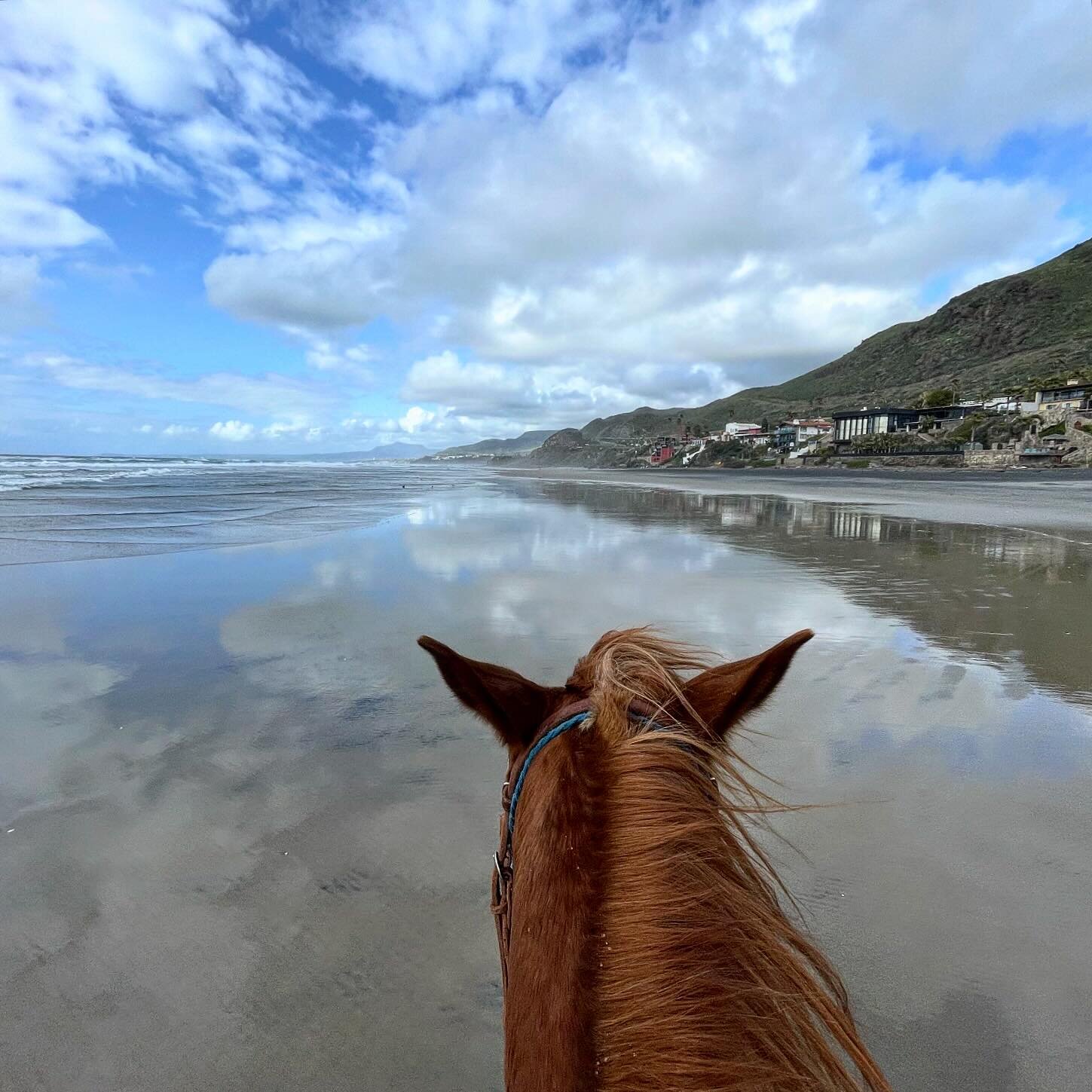 Ready for a change of scenery? #horsebackriding like you&rsquo;ve always dreamed it could be. 

Get away, get outside, and rewild your life! 

What are you waiting for? 

#horsesbyjose #horsebackadventures #horseriding #bajacaliforniamexico #getoutsi
