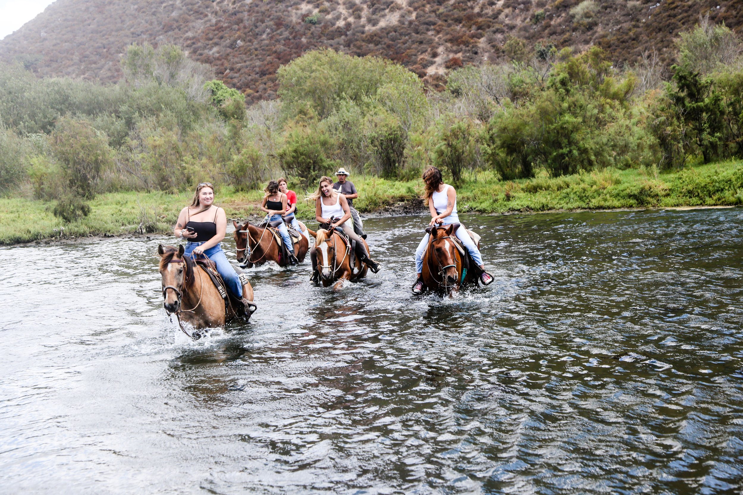 Horses By Jose | Horseback Riding Tours In Playa La Mision, Ensenada