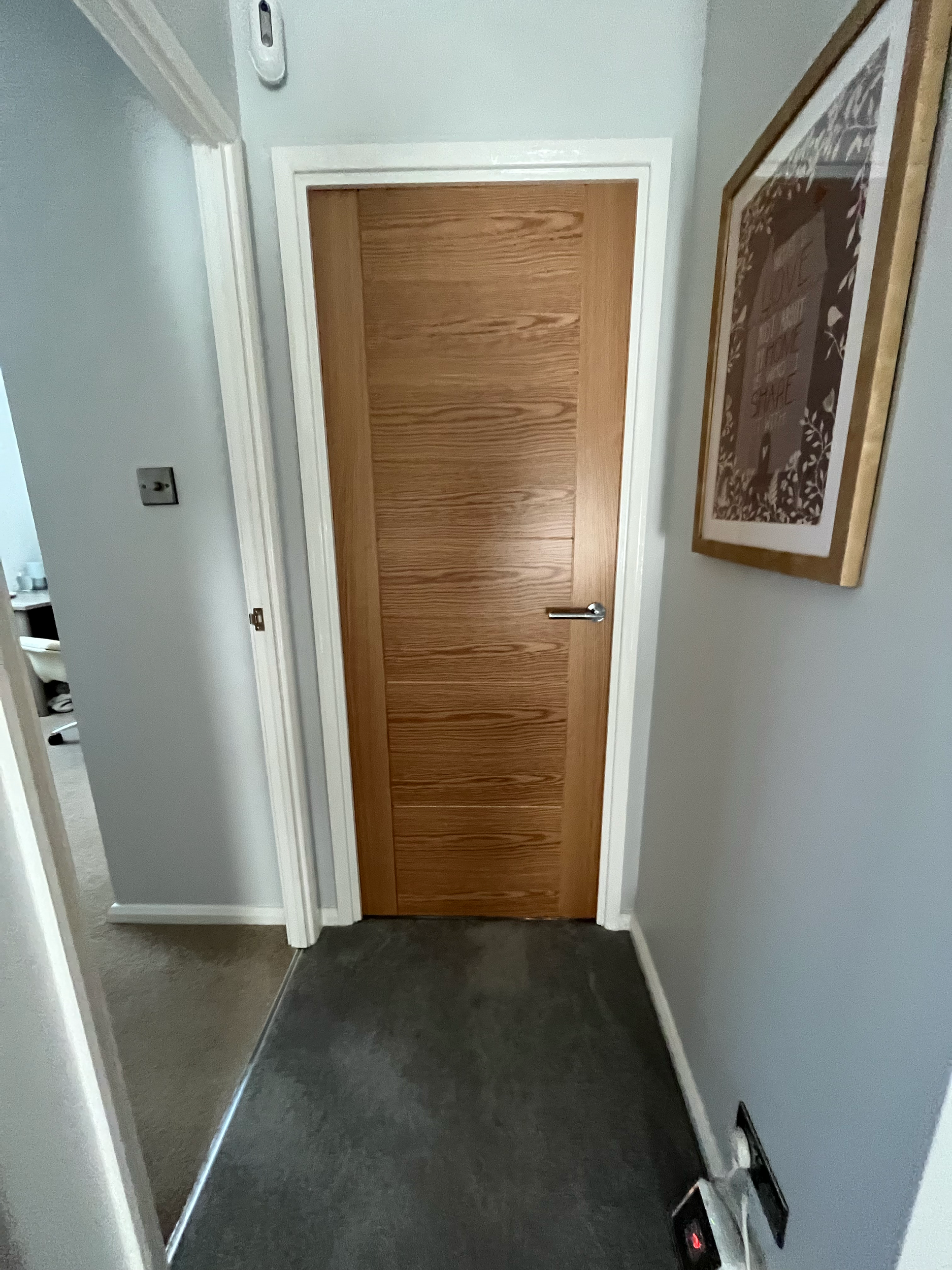 Interior hallway with a closed wooden door, gray carpet, pale walls, and a framed picture on the wall.