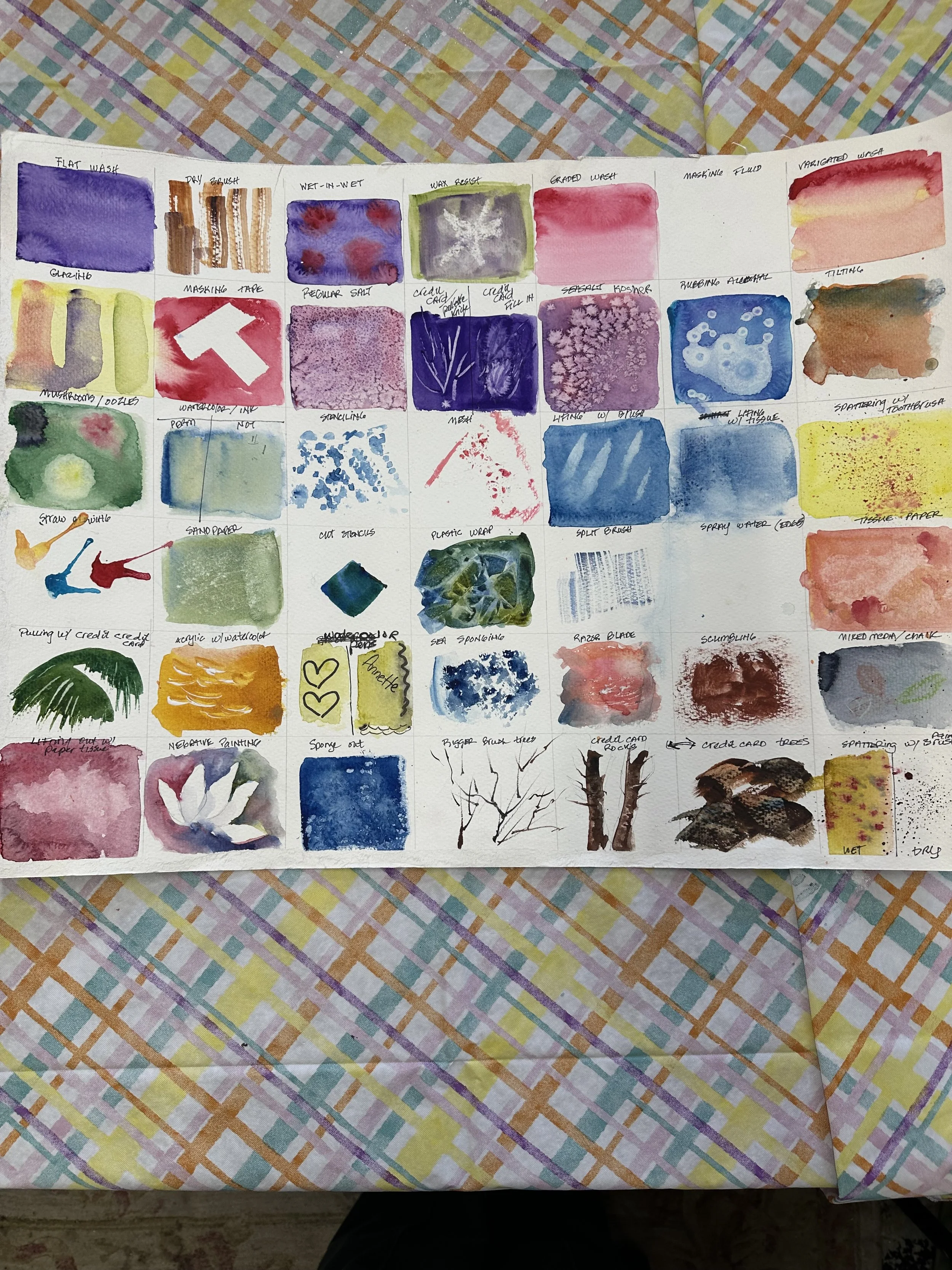 Watercolor Techniques Class‼️ Sat. Aug. 29th (2-4pm) ages 14-adult ($42-) all supplies included