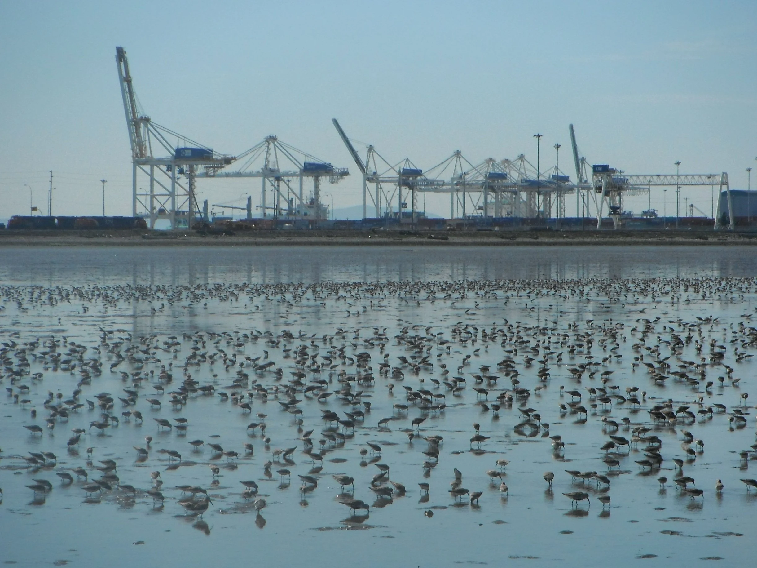 port.jpg