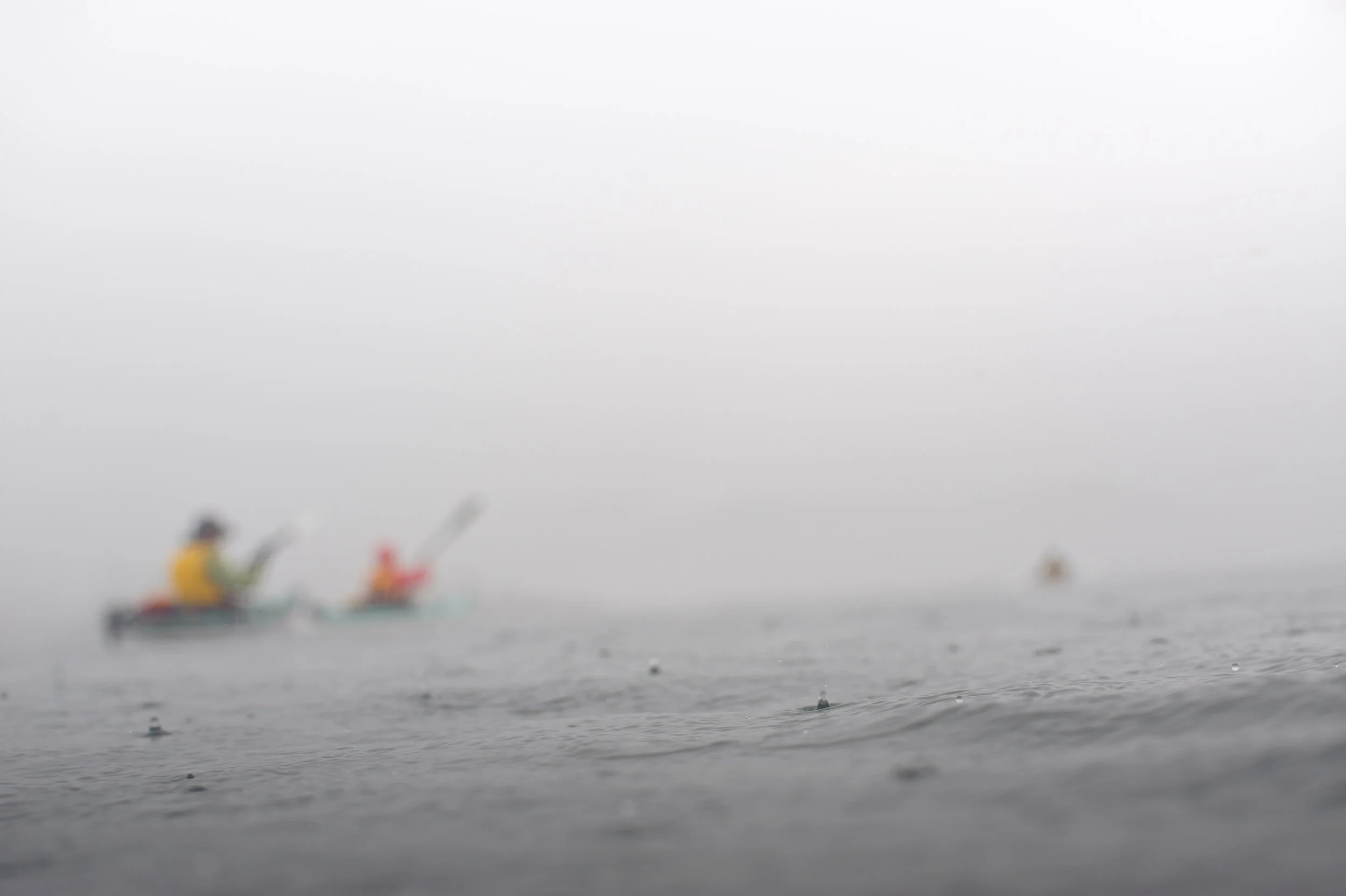 Out of focus photograph of people kayaking in a foggy body of water.