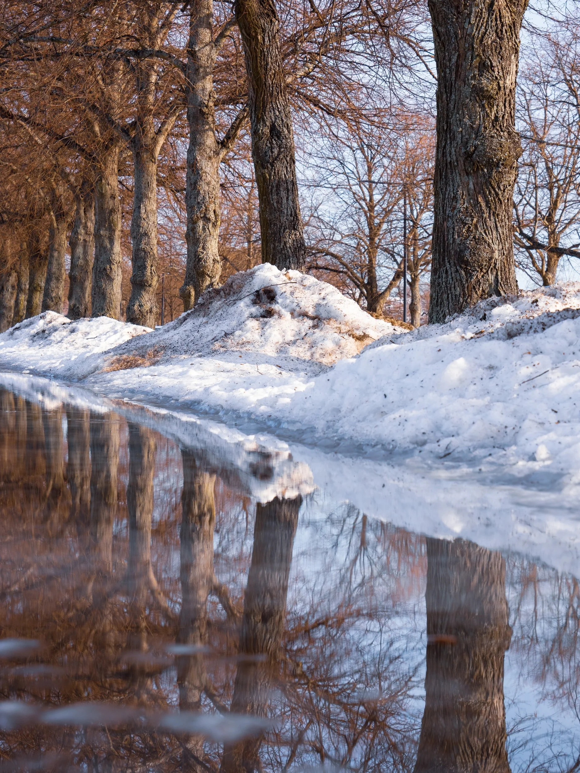 Sump Pump Maintenance