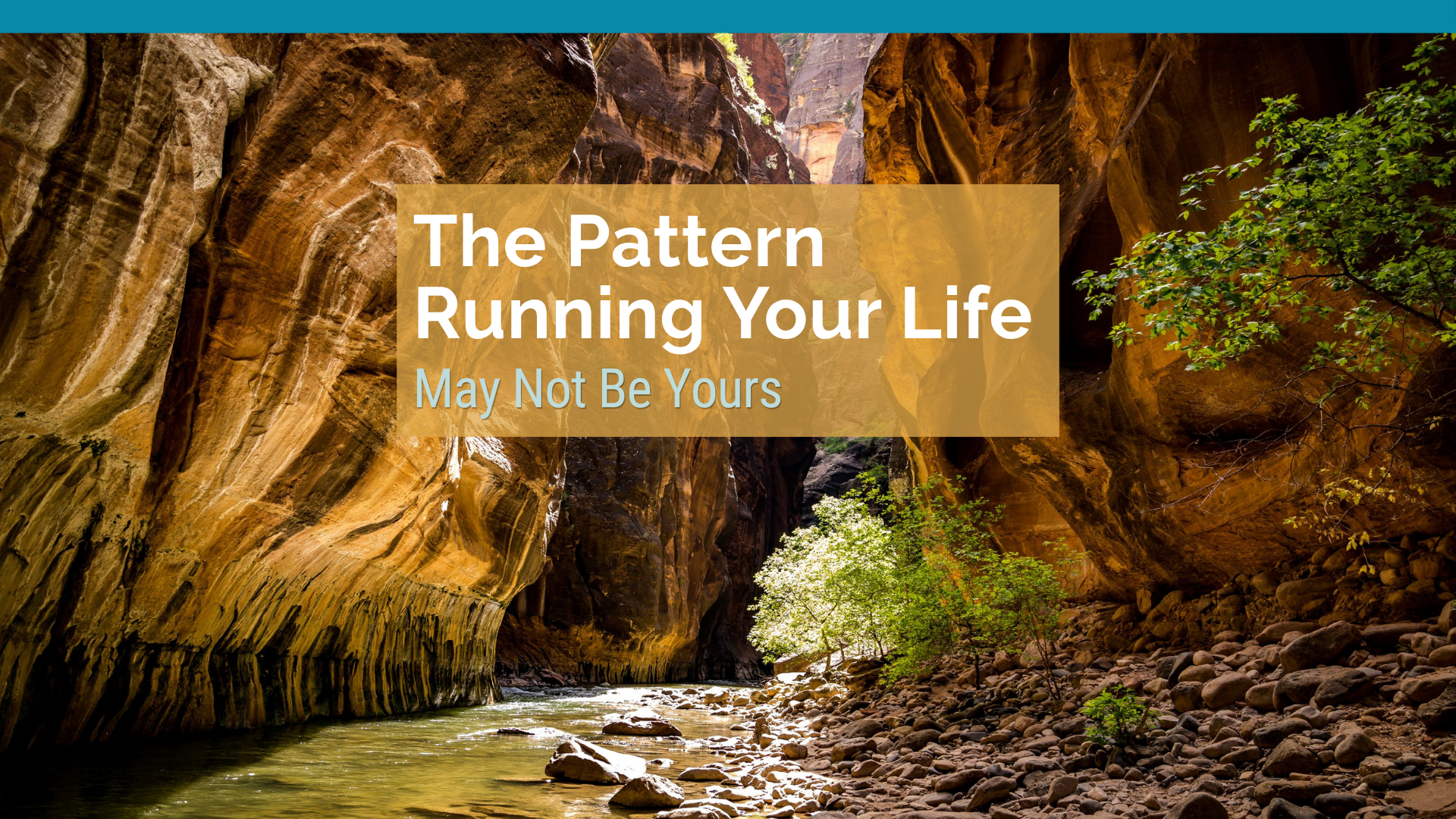 The Legacy: Why You Keep Repeating Your Father's Patterns