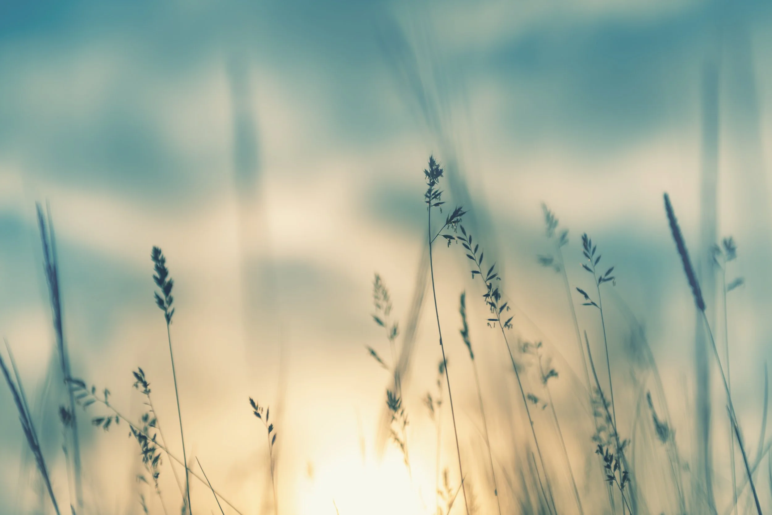 AdobeStock_357854155.jpg
