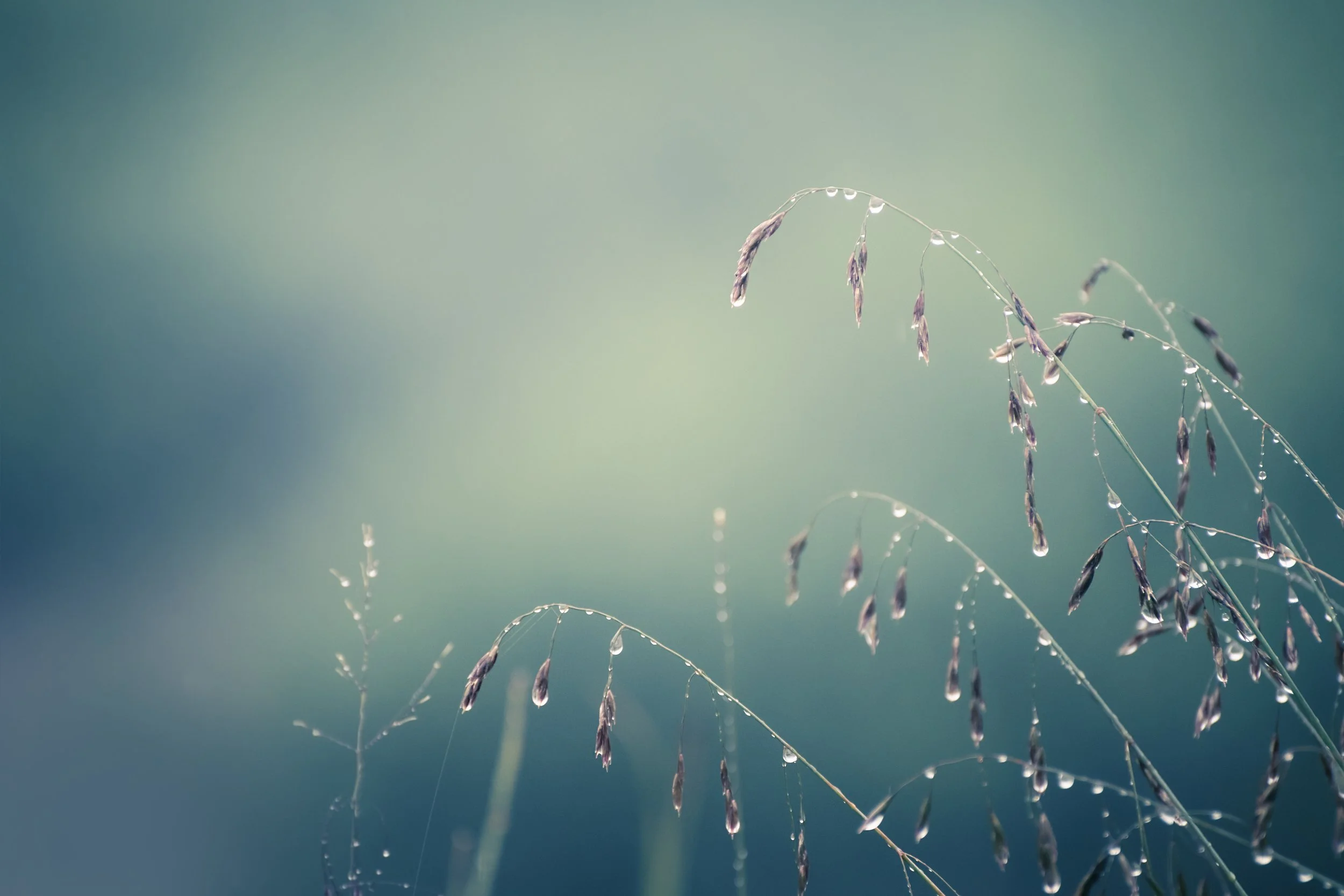 AdobeStock_474247930.jpg