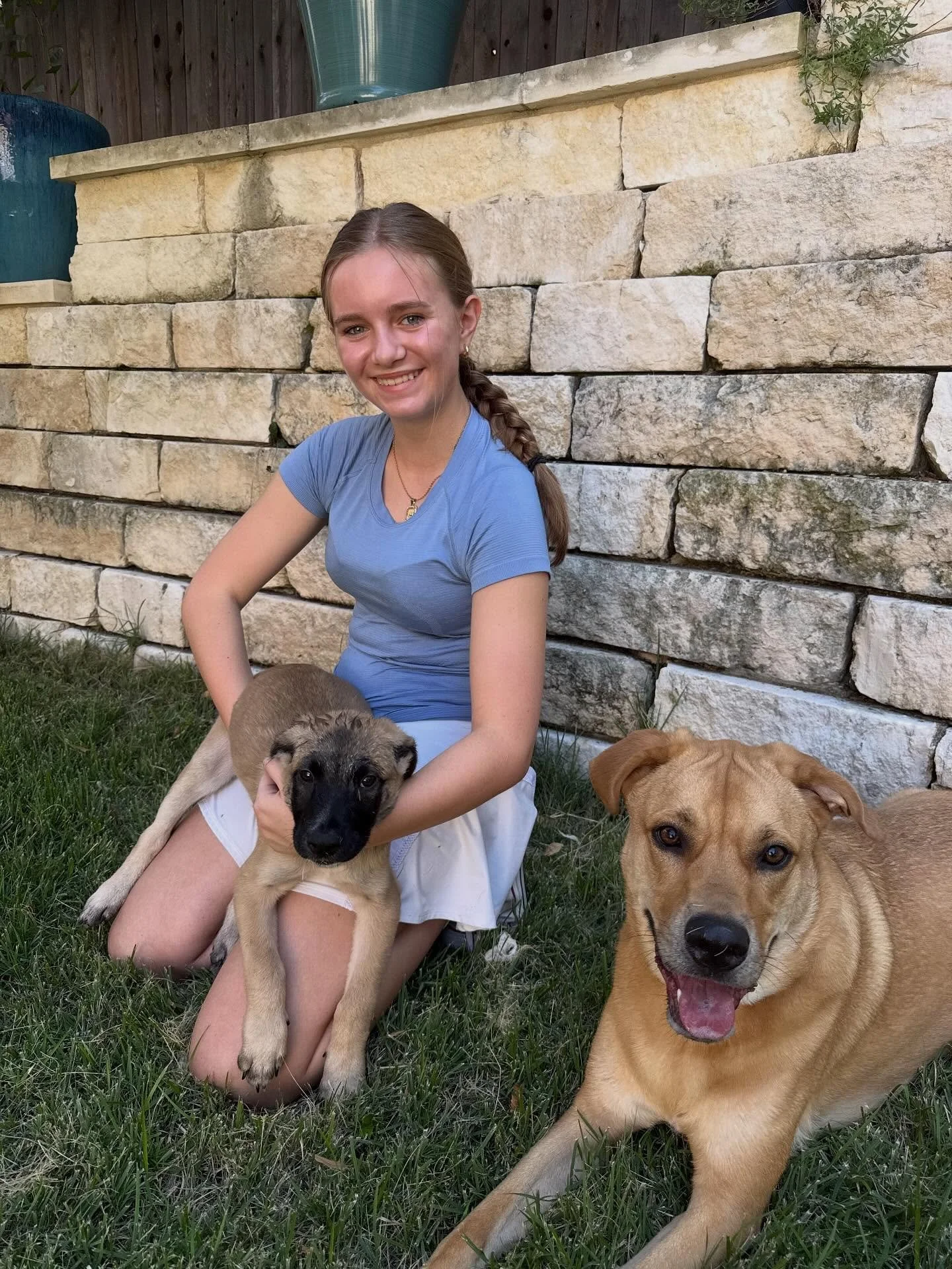 Happy 13th Birthday Annabelle! It&rsquo;s finally official - 4 teenagers in the house! And welcome home new puppy with no name yet! (Surprise adoption orchestrated by Abigail and me.) #austinpetsalive #savealifeadopt #saveapuppy @annabellegonski @abb