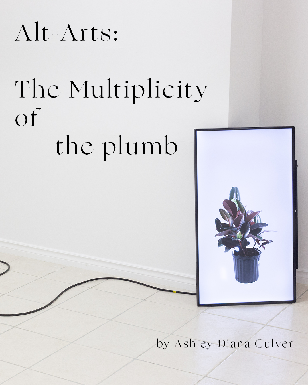 Alt-Arts: The Multiplicity of the plumb