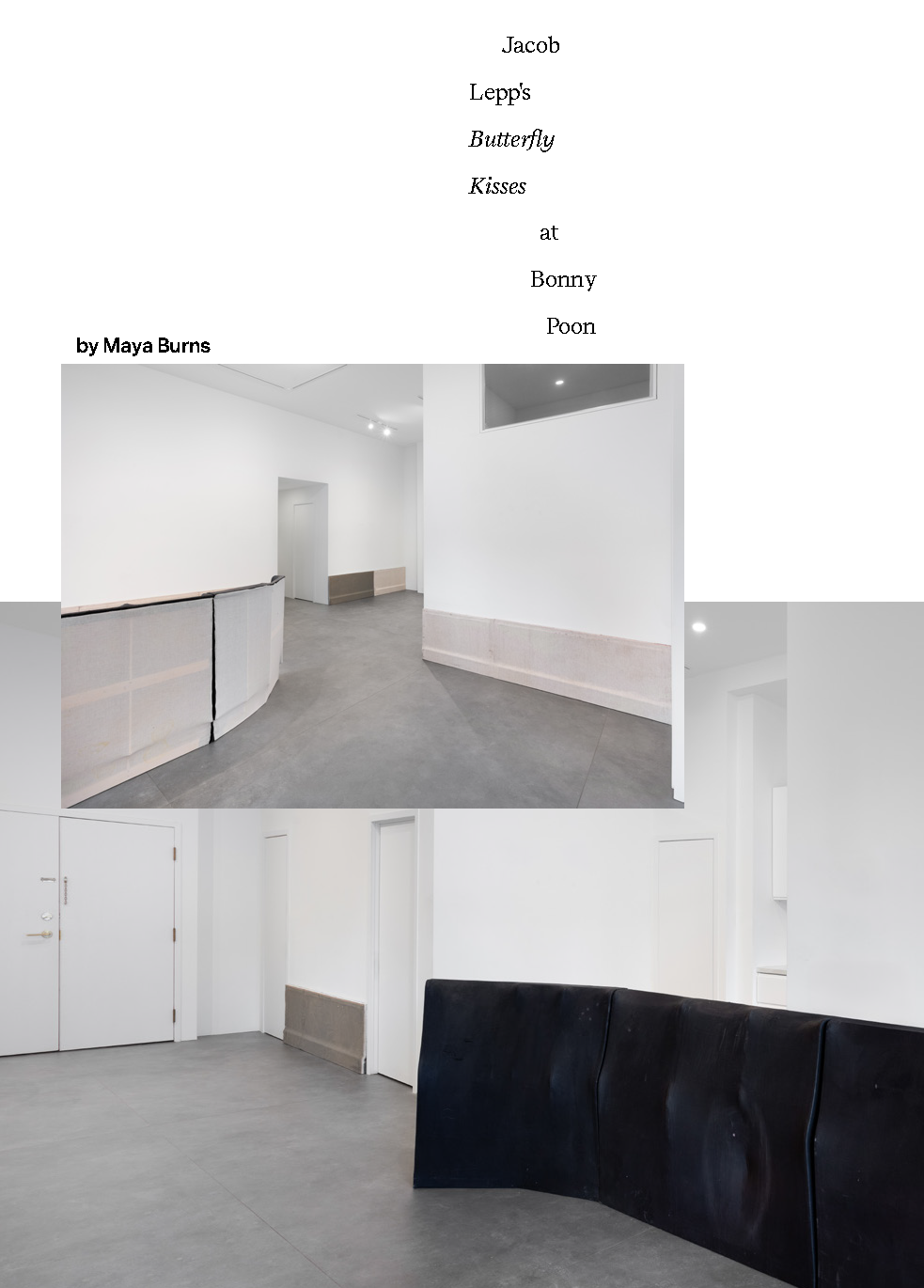 Jacob Lepp's ‘Butterfly Kisses’&nbsp;at&nbsp;Bonny Poon