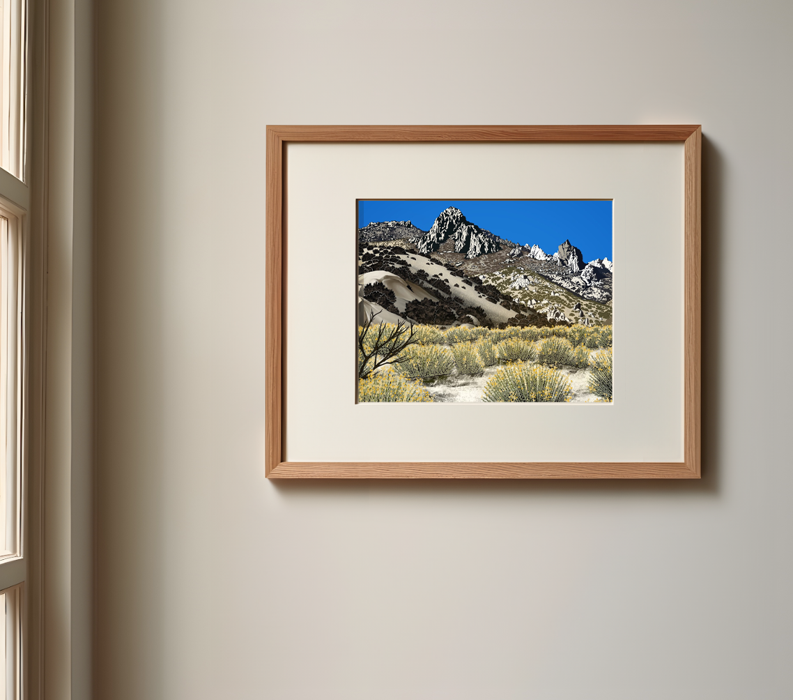Postcard Framed.png