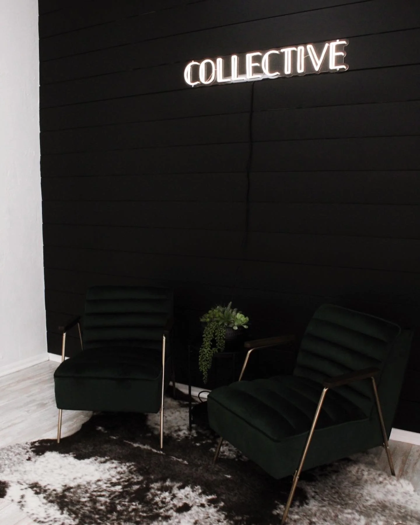 Collective Salon North End Boston