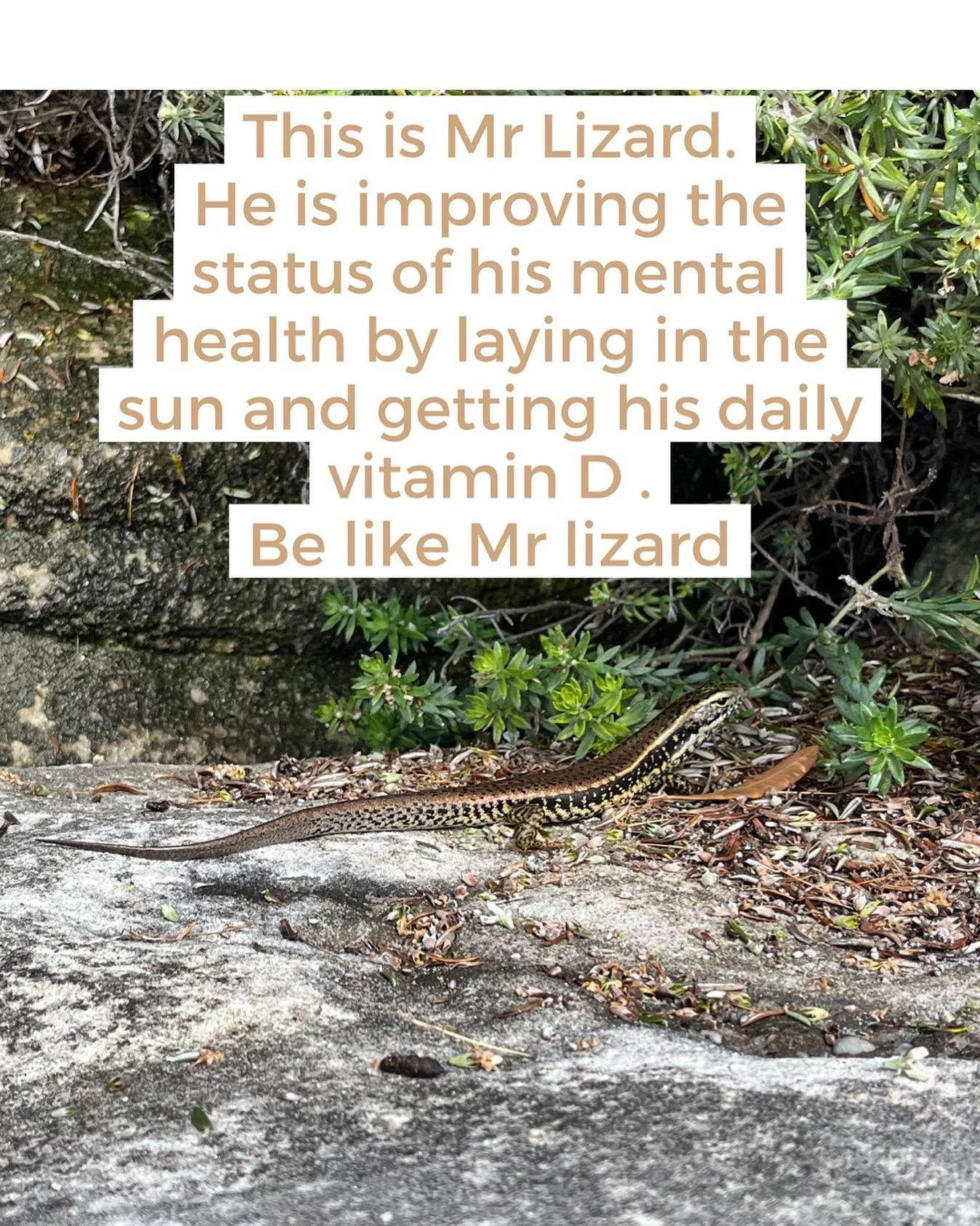 #mentalhealth #vitamind #sun #lounginglizard #bondi #adhd #naturopath #naturalhealth