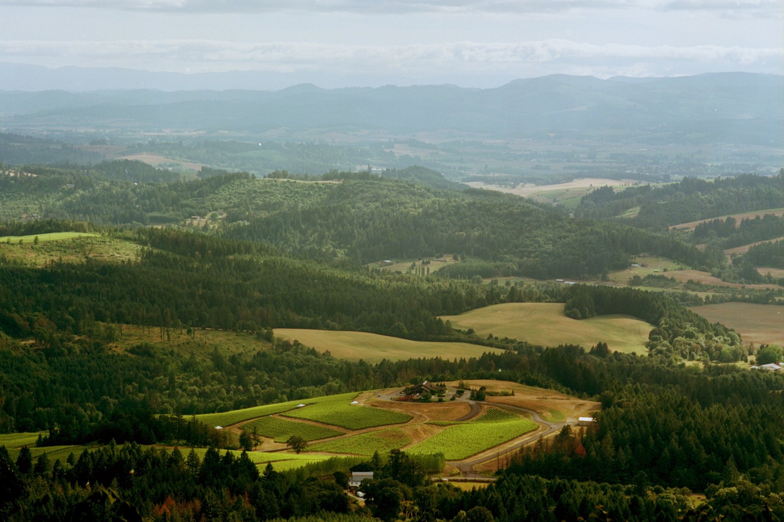 Welcome to Saints' Hill