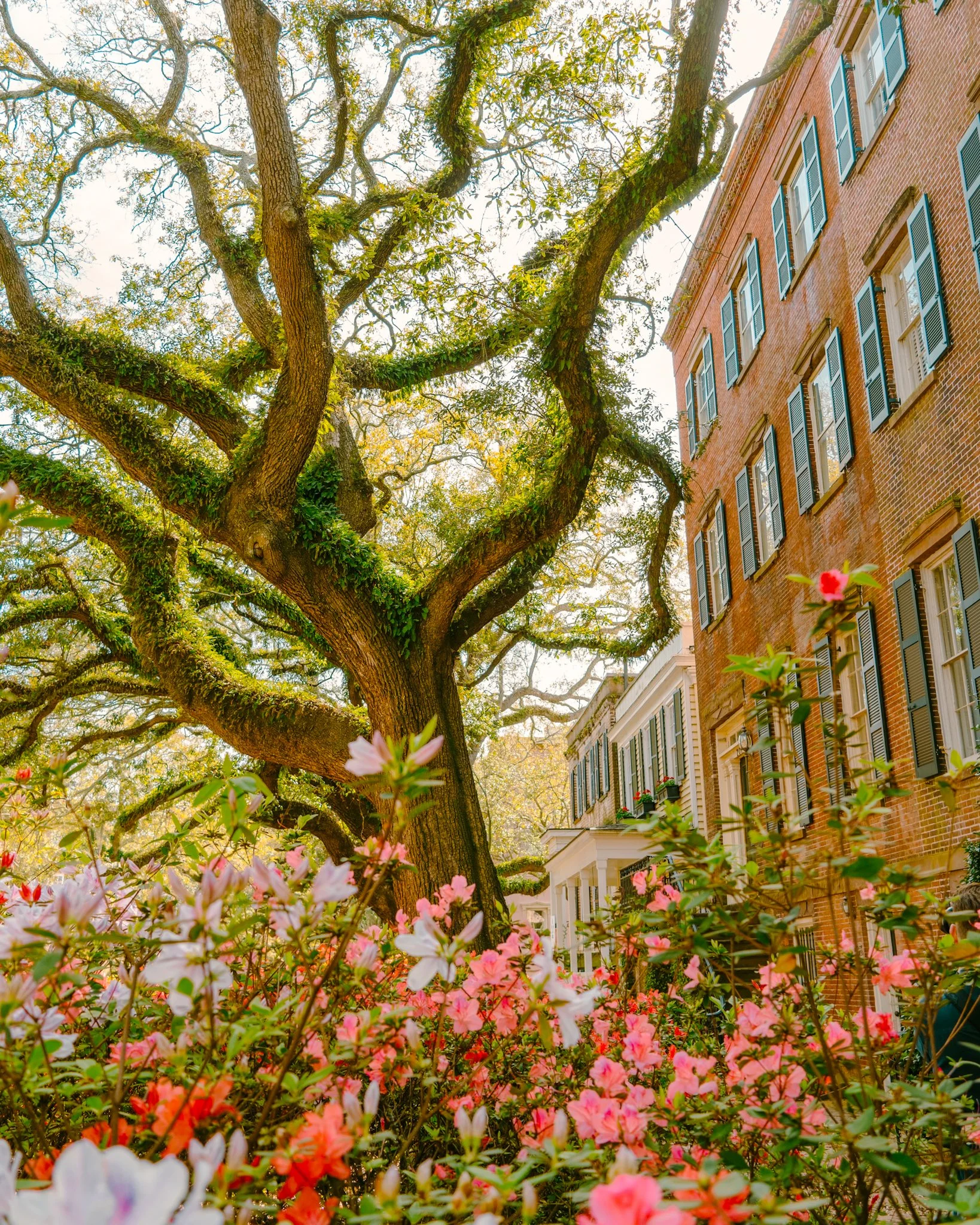 Savannah, Georgia 