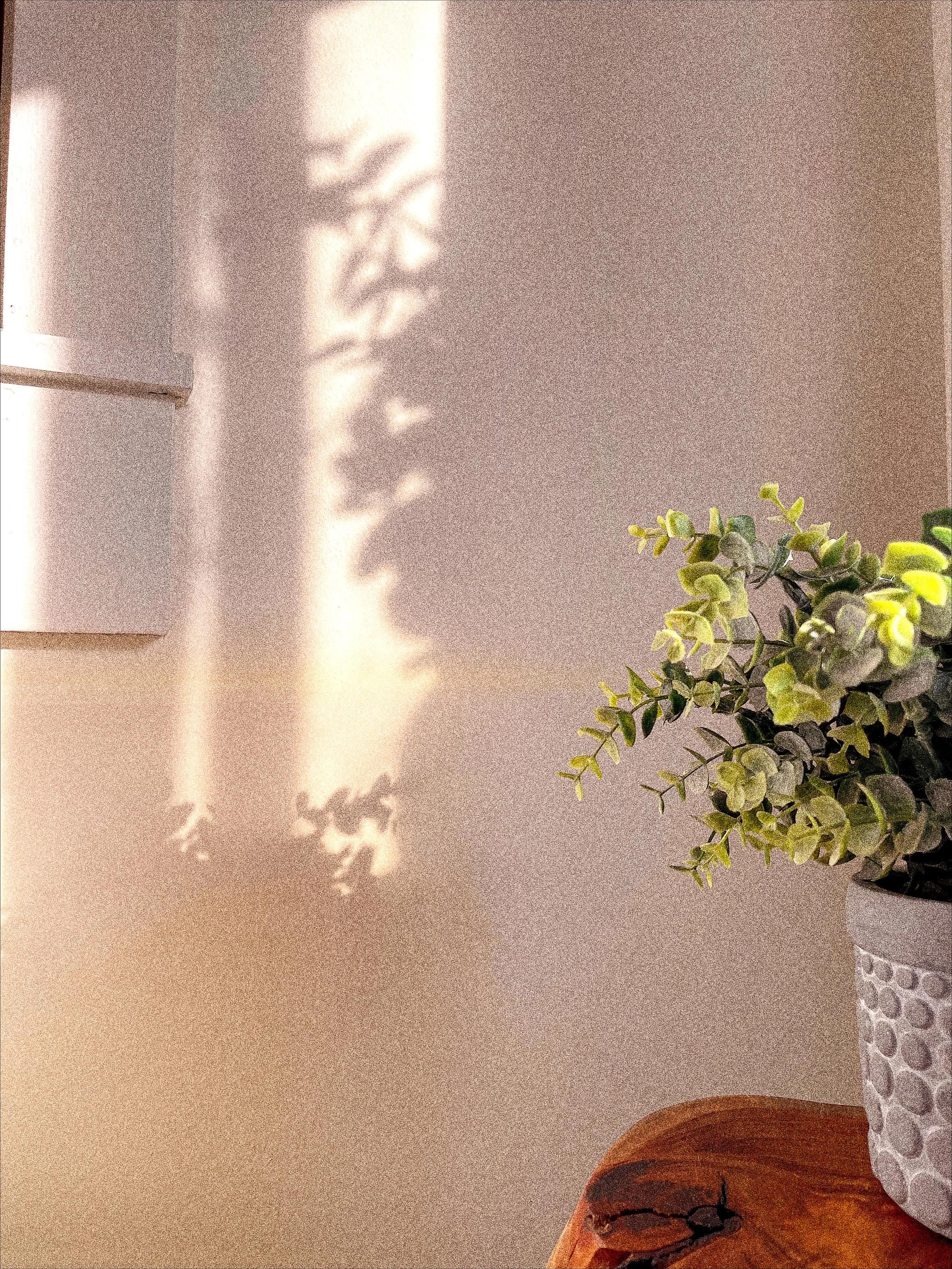 Shadow play on a Friday morning. 